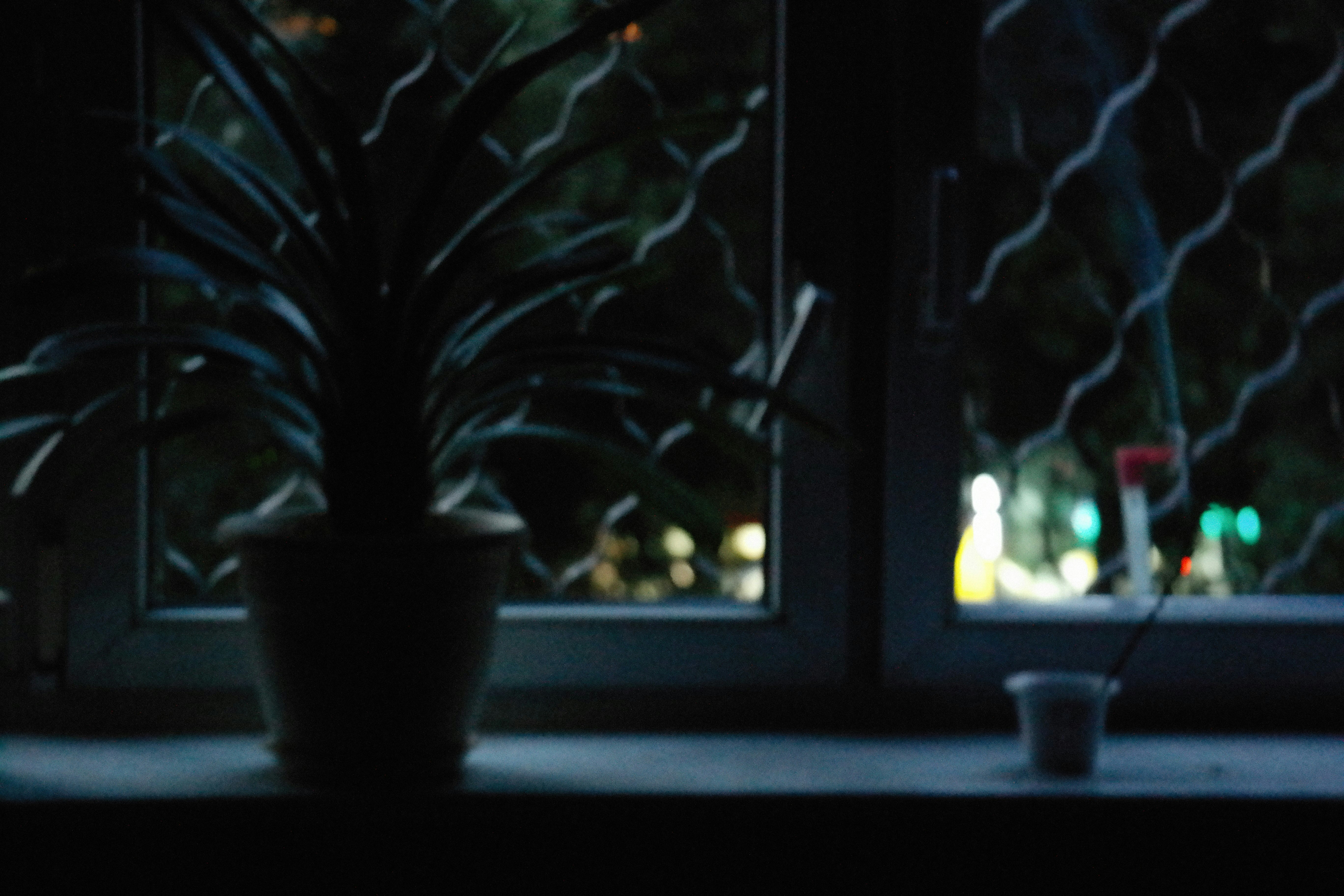 Photo by alexeydemidov