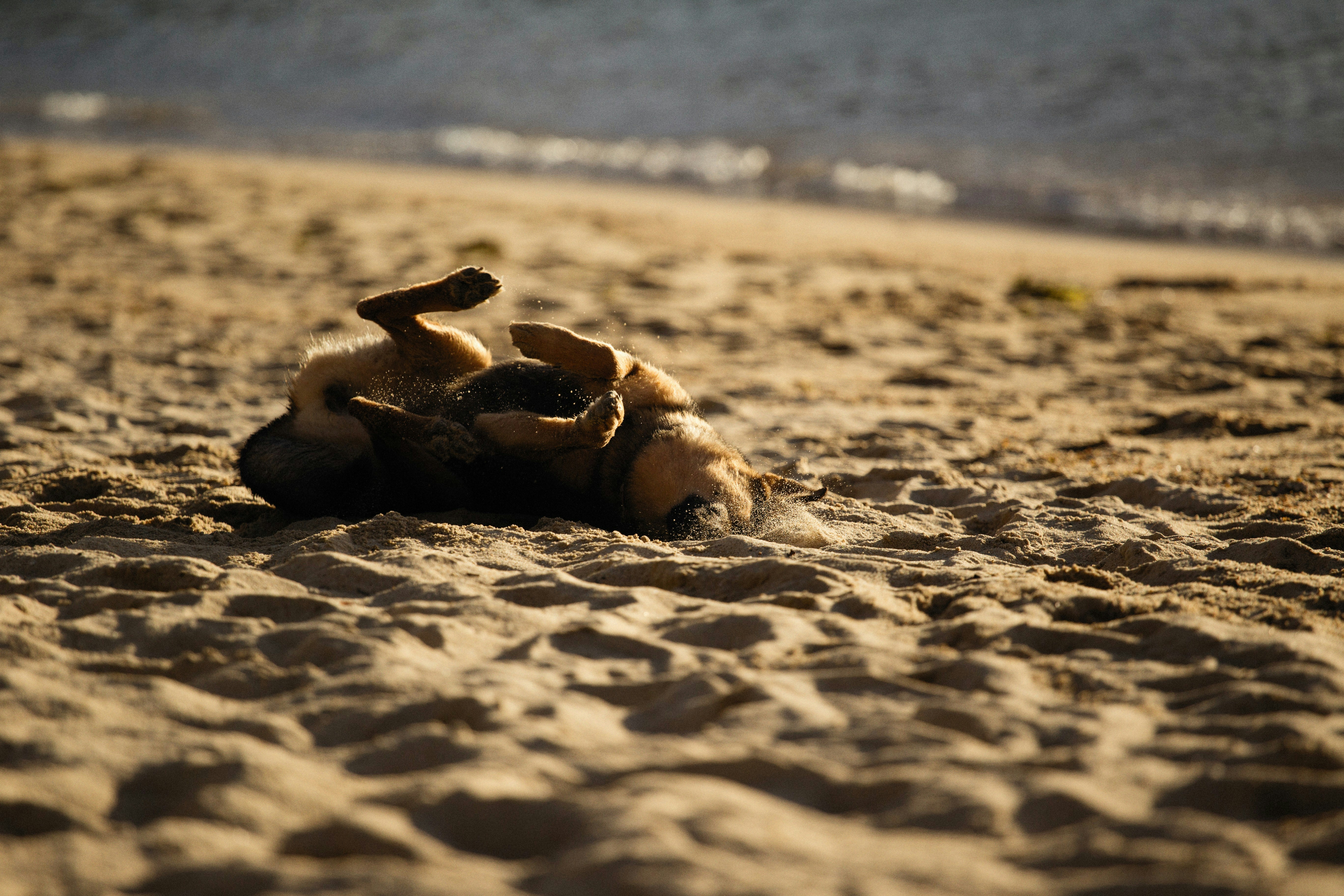 Photo by alexeydemidov