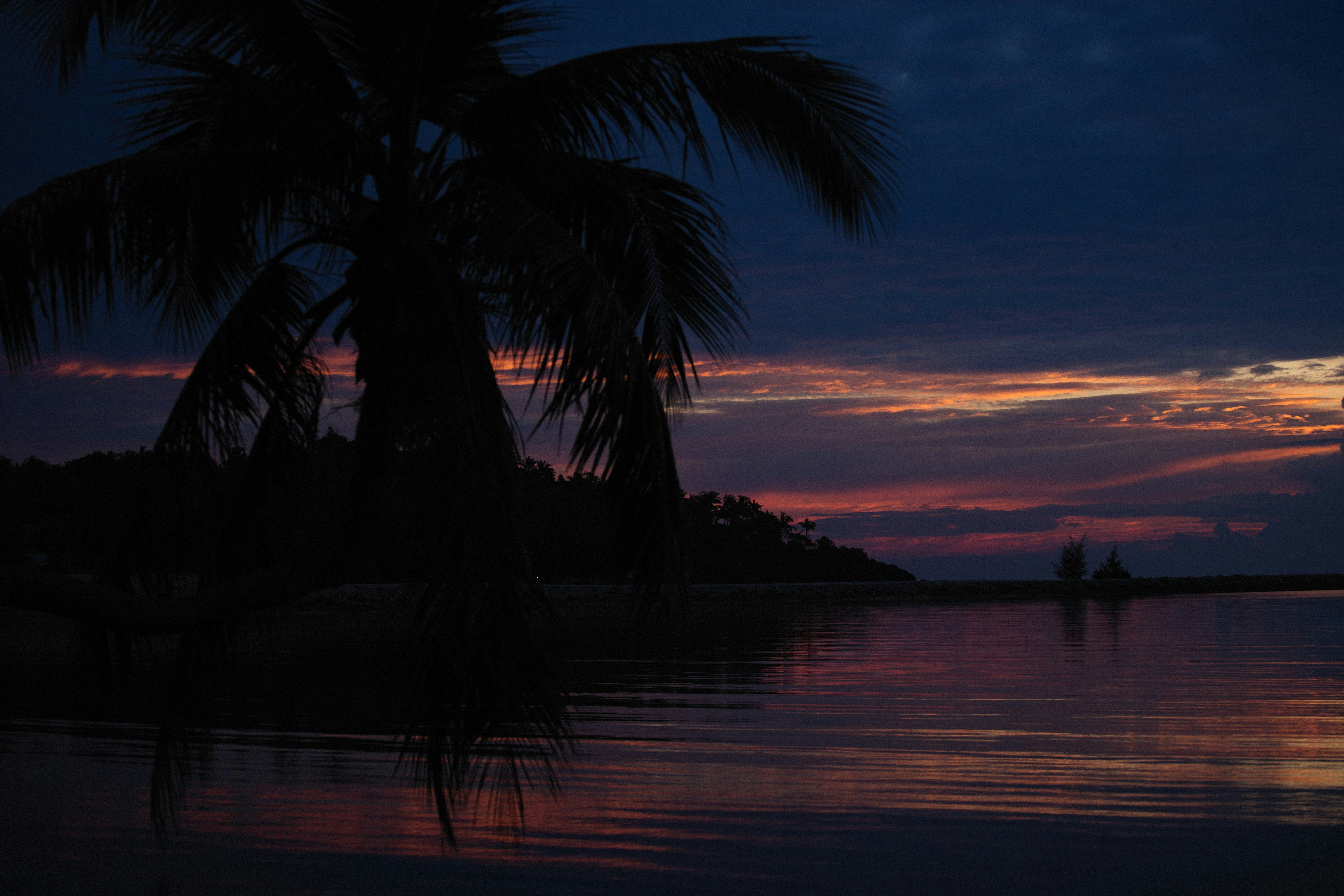 Photo by alexeydemidov