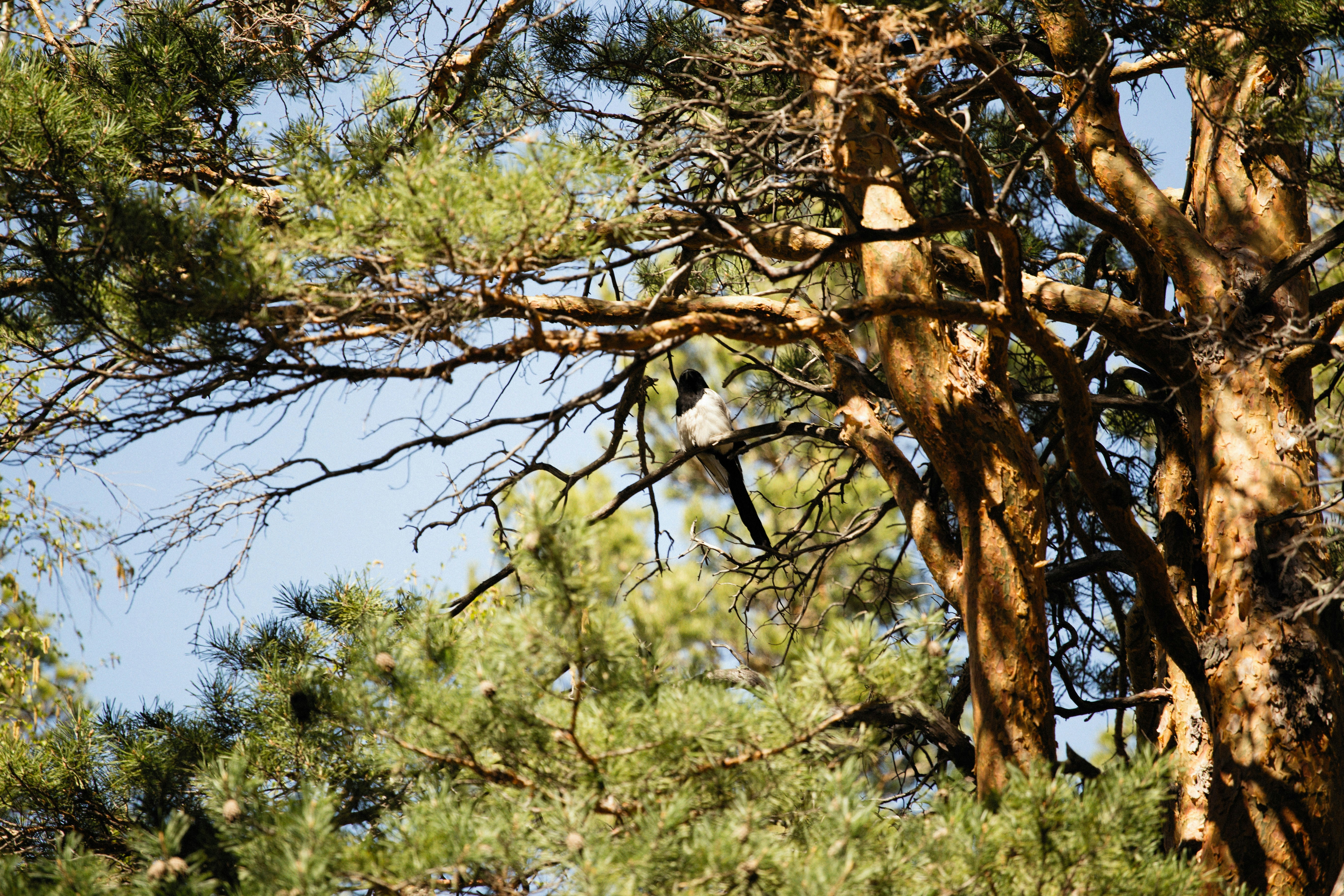 Photo by alexeydemidov