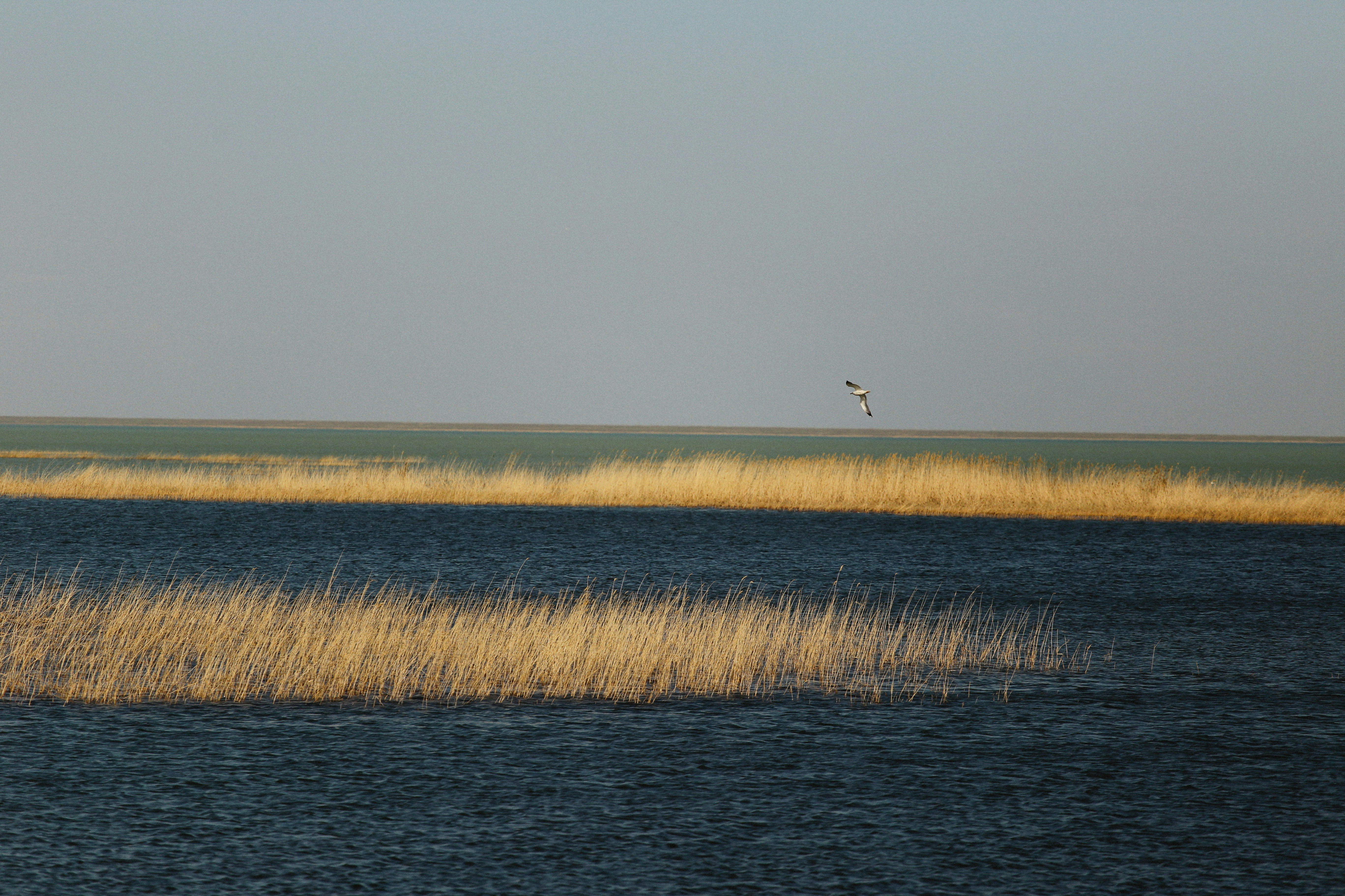 Photo by alexeydemidov