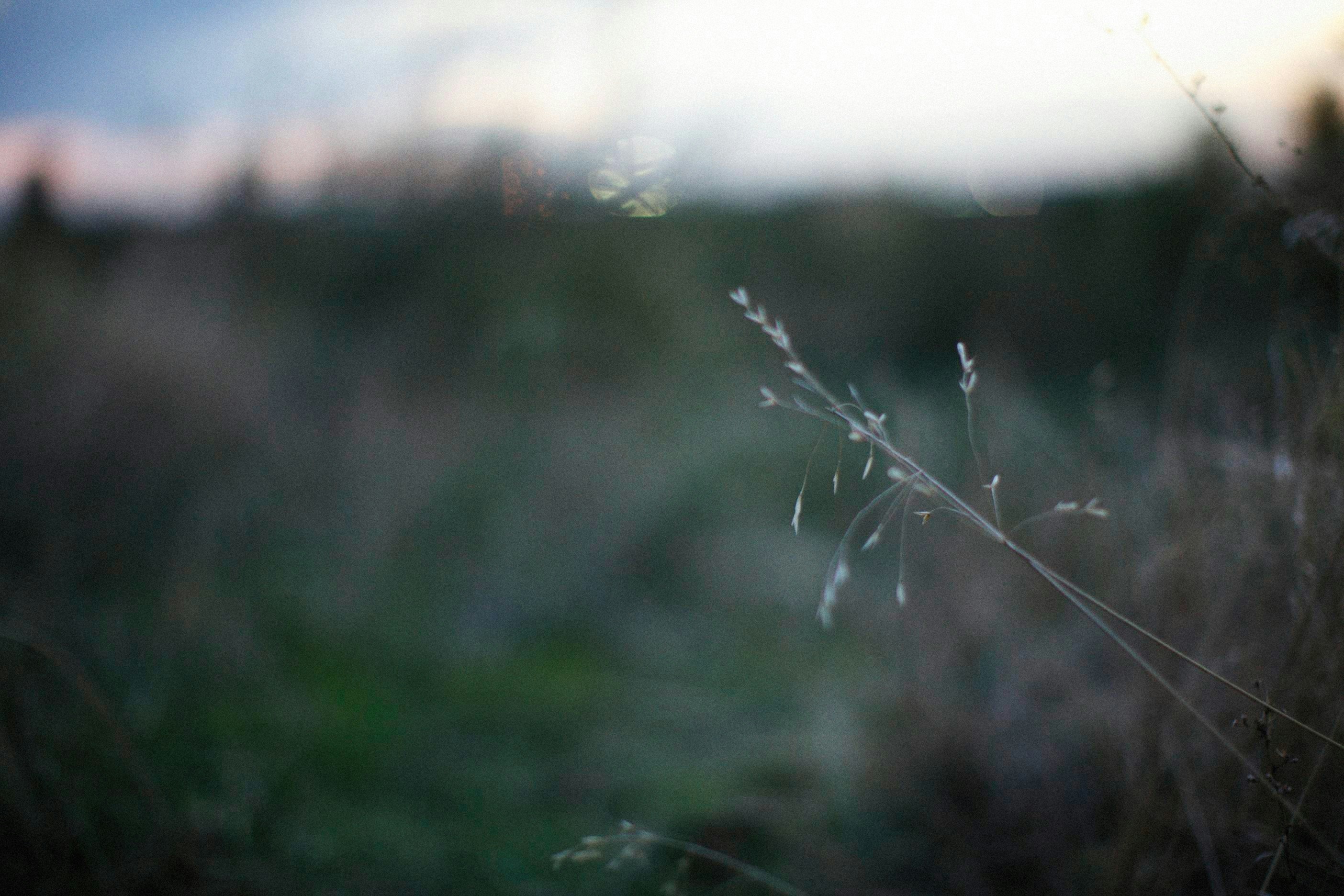 Photo by alexeydemidov