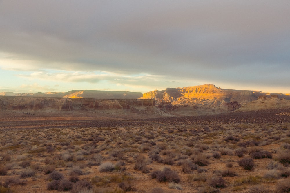 a desert landscape with a mountain in the background