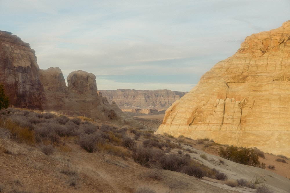 a rocky landscape with a few trees in the foreground