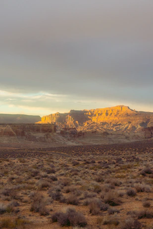 Sunlight filtering through desert sagebrush with the retreat center in the background.