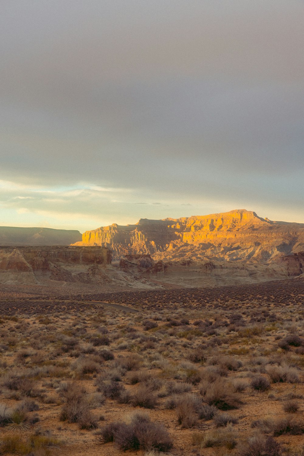 a desert landscape with a mountain in the background