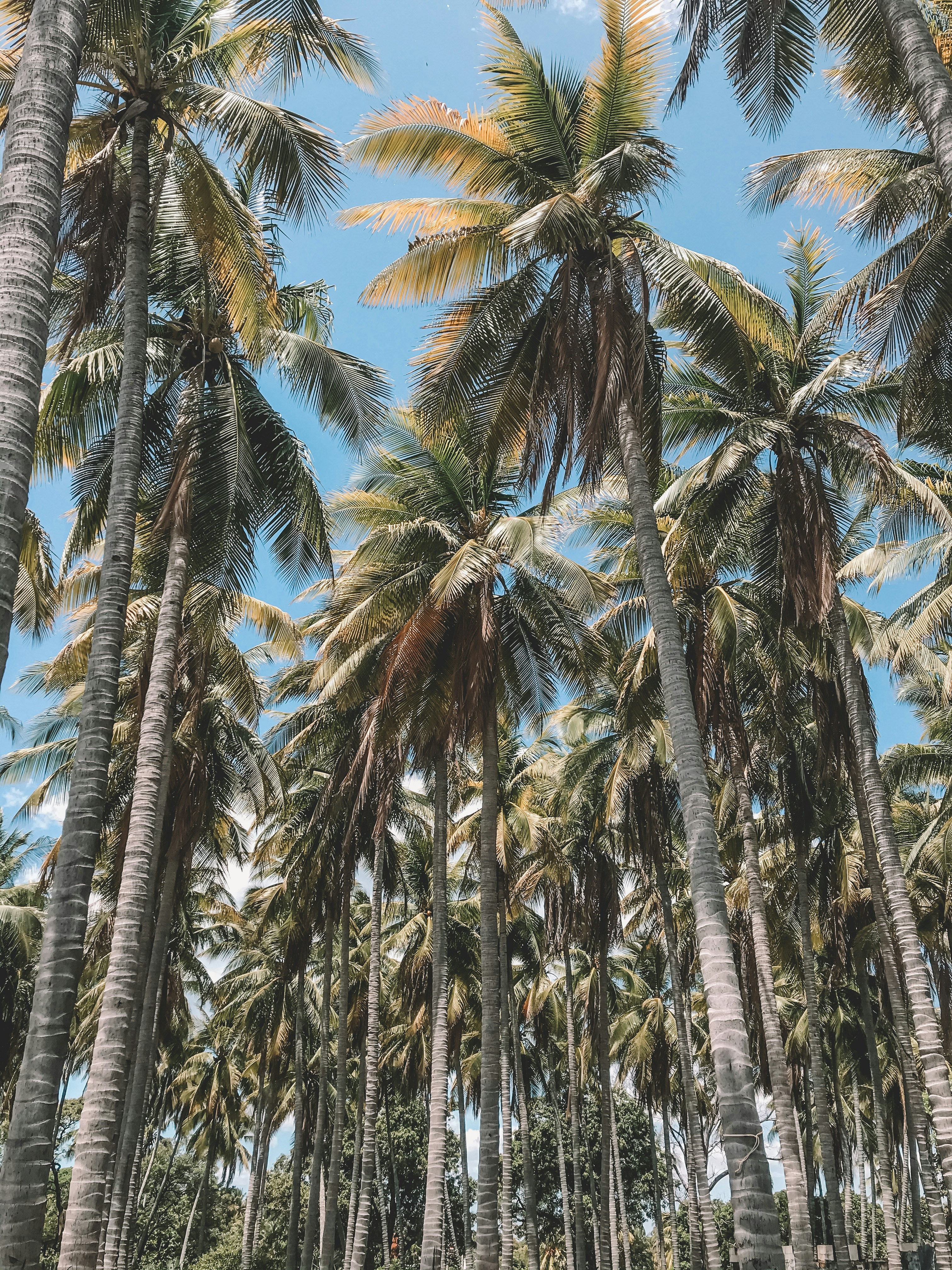 Photo by iferalas
