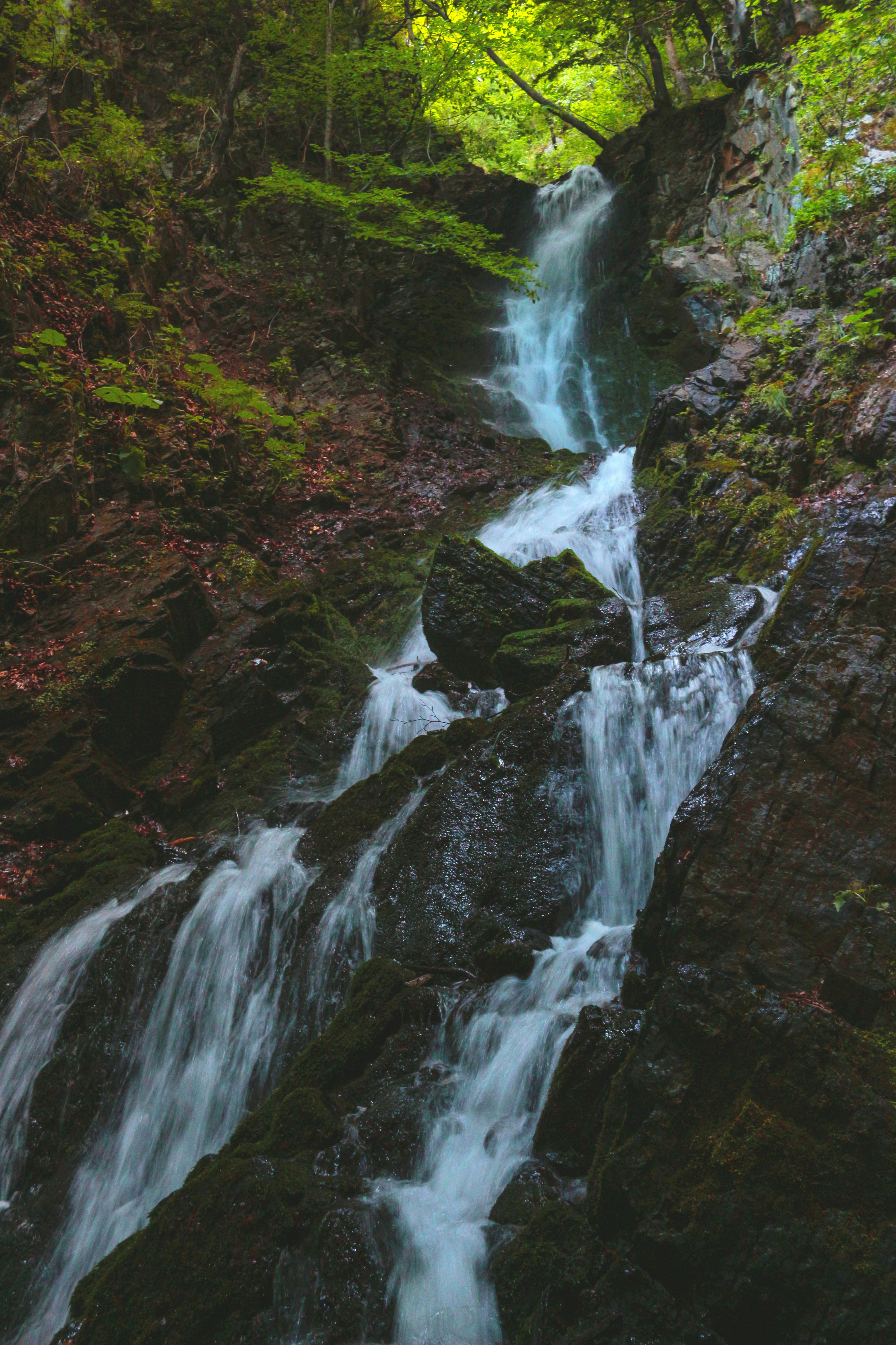 Photo by miloslopusina