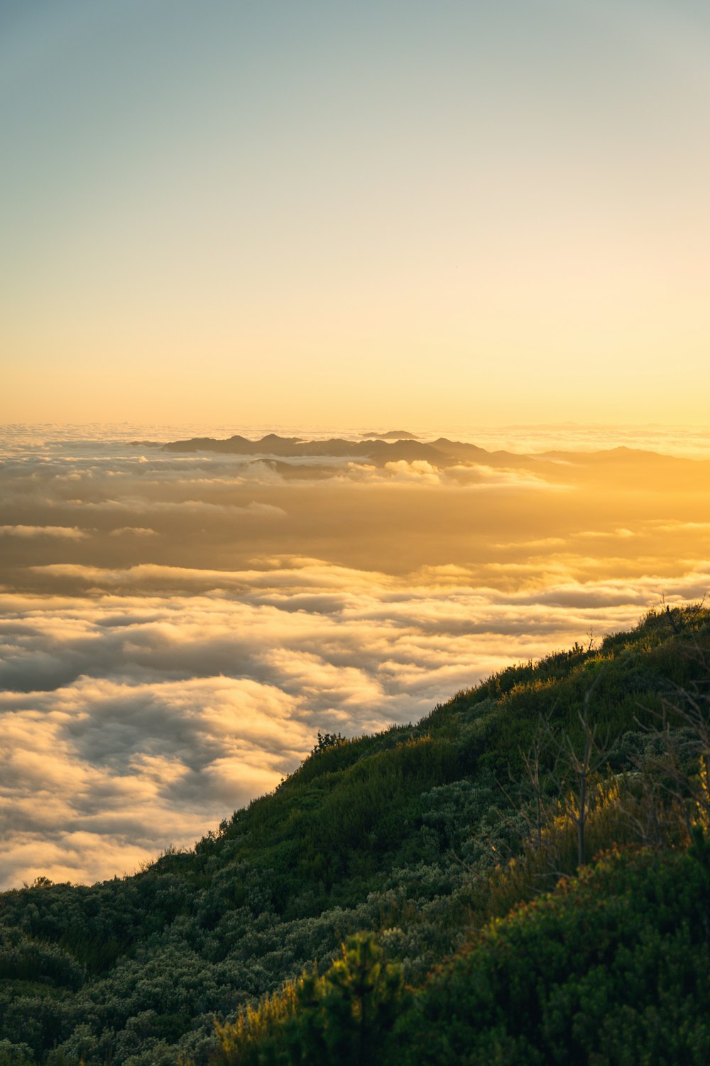 a man standing on top of a lush green hillside