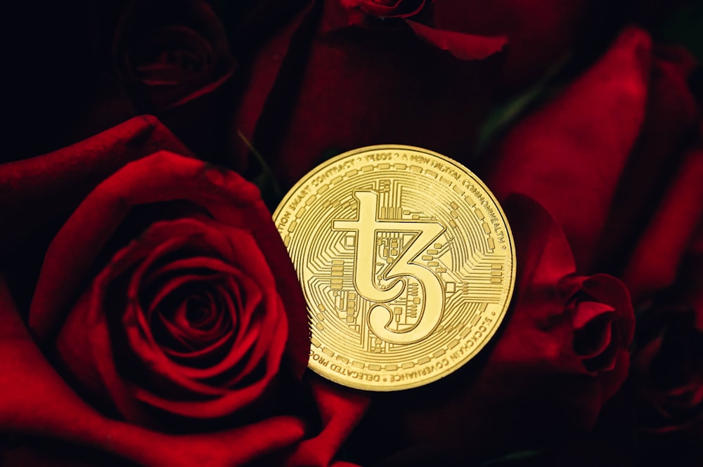 a gold bitcoin sitting on top of a red rose