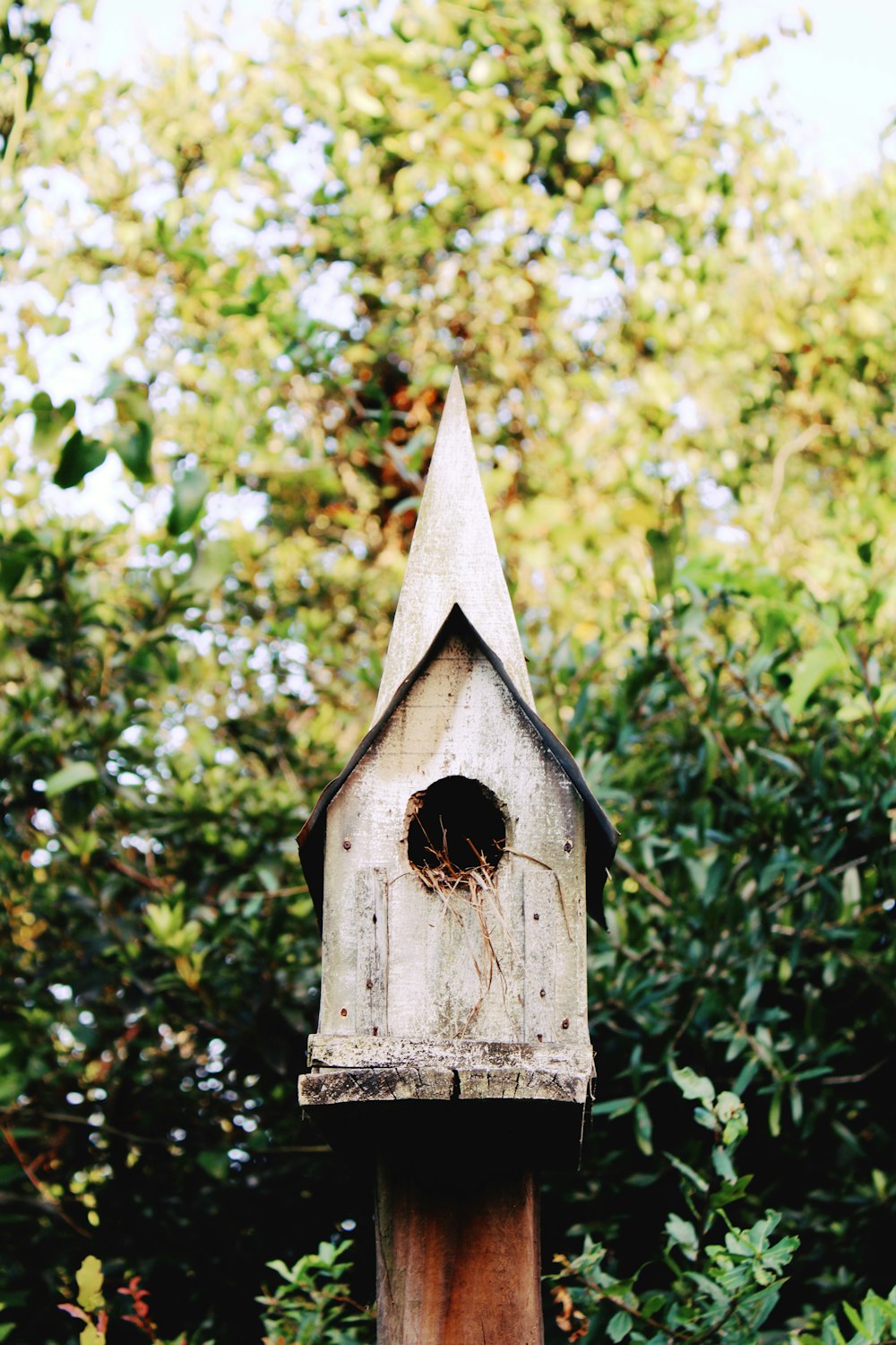 a bird house with a hole in the roof