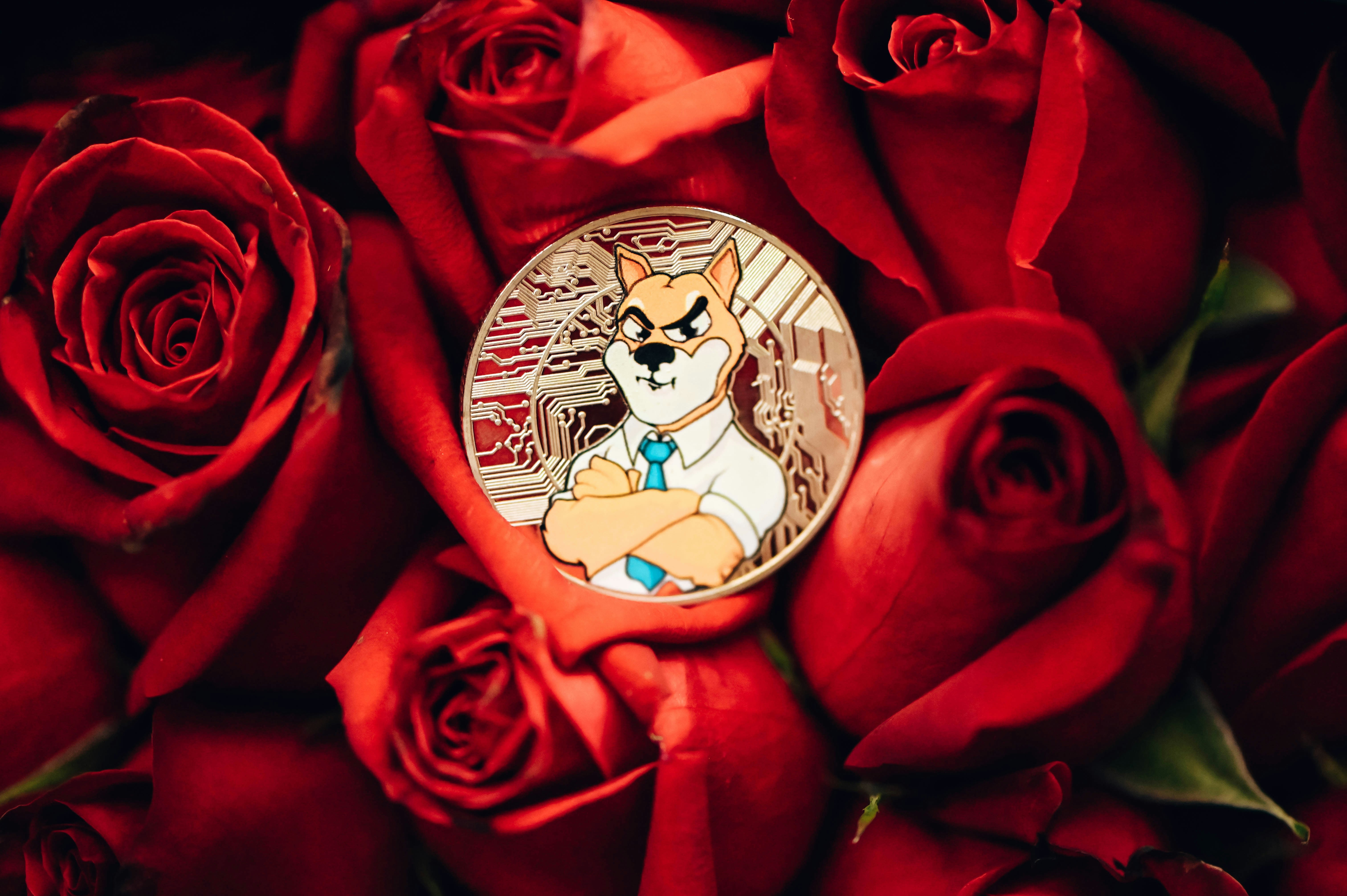 A SHIB coin surrounded by red roses