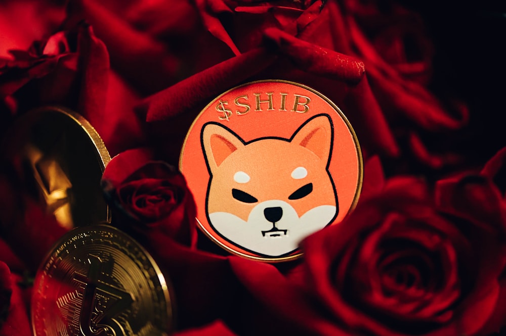 a close up of a red rose with a badge on it