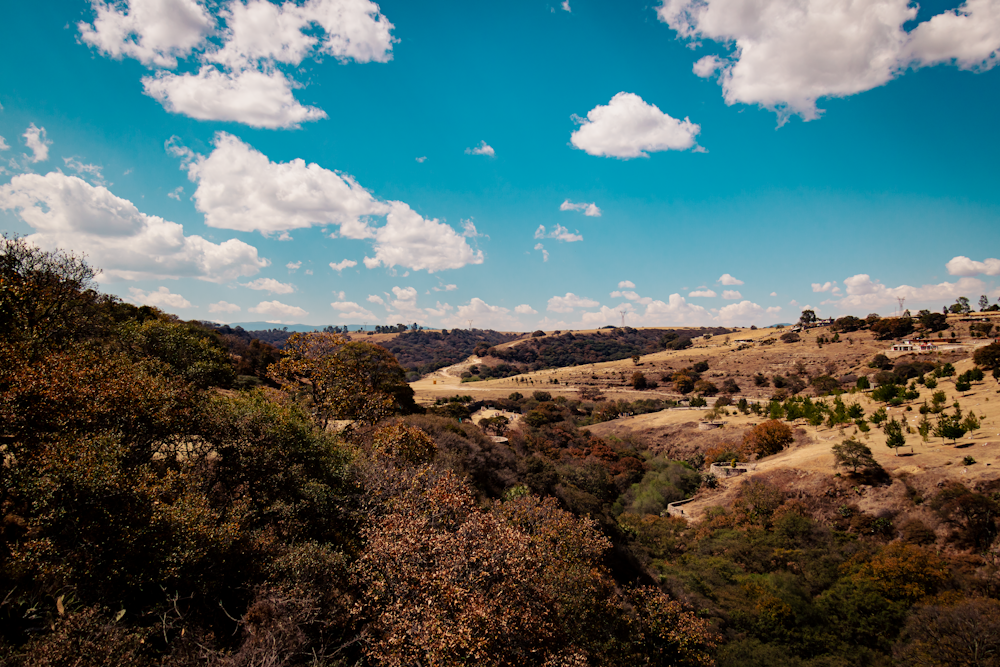 una vista panoramica di una zona collinare con alberi