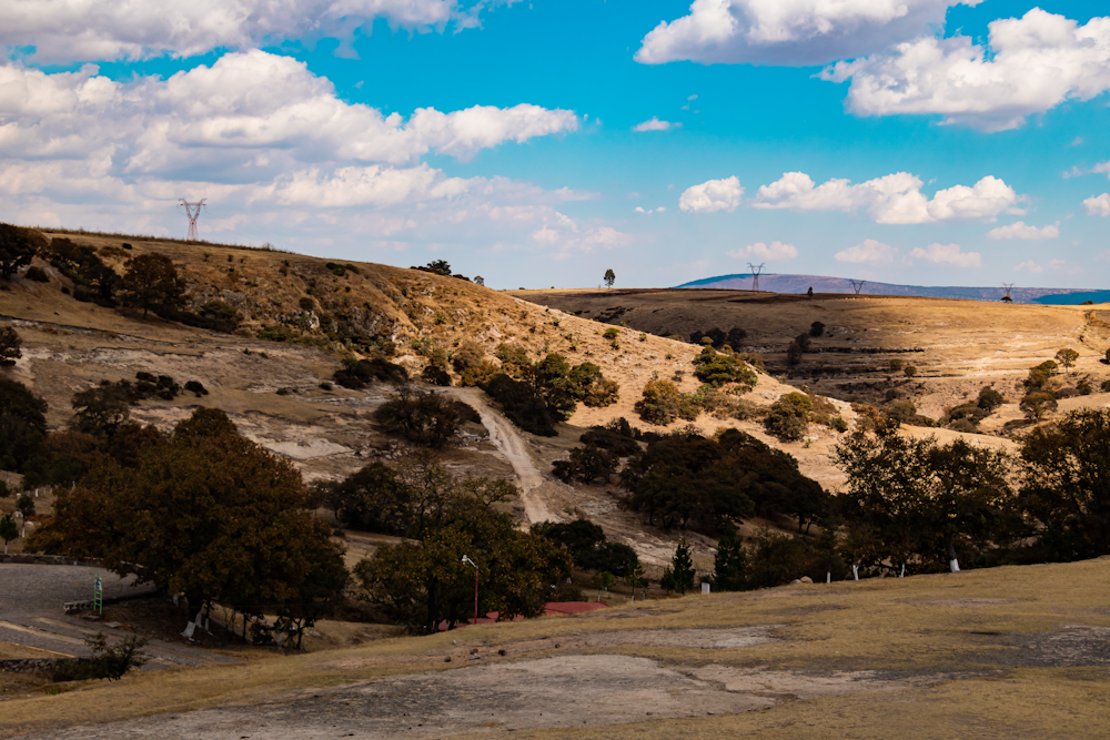 una vista panoramica di una zona collinare con alberi