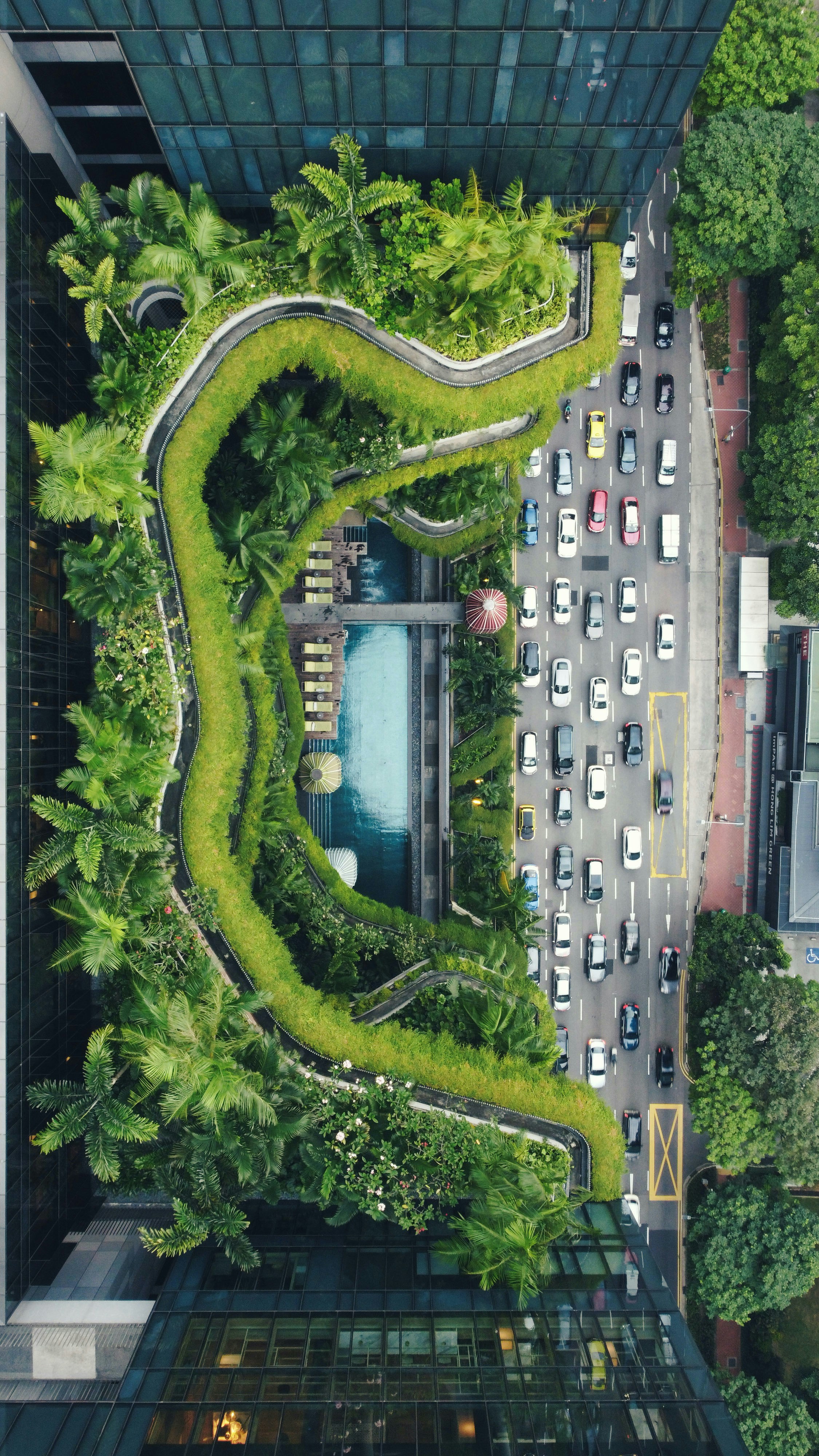 An aerial view of a city street with cars and trees photo – Free 美芝路 ...