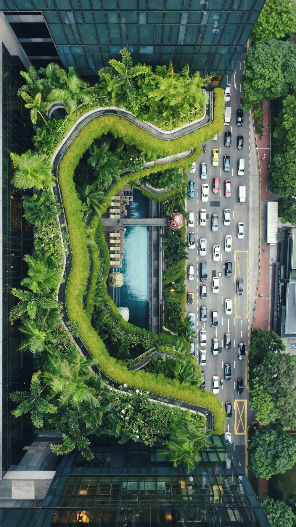 an aerial view of a city street with cars and trees