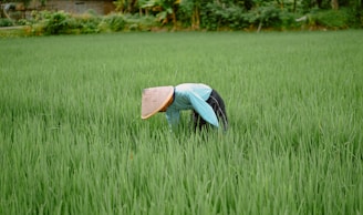 a person in a field with a hat on