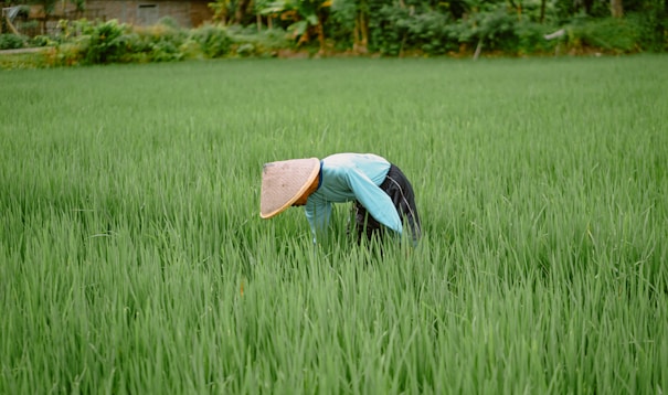 a person in a field with a hat on