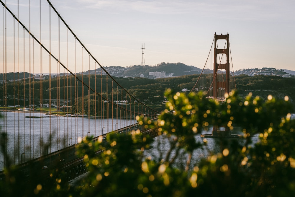 a view of the golden gate bridge from across the bay