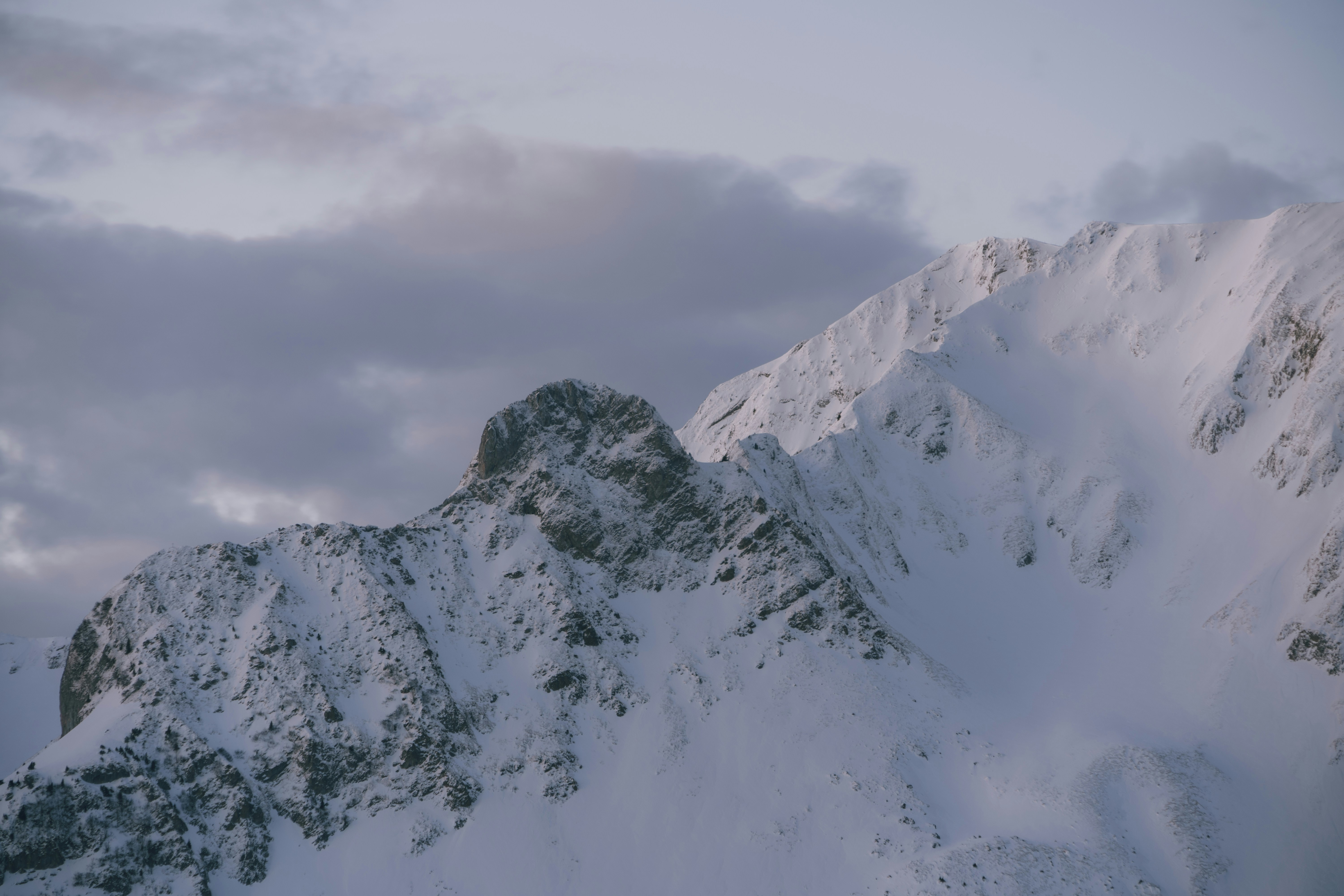 Photo by benaja_photos