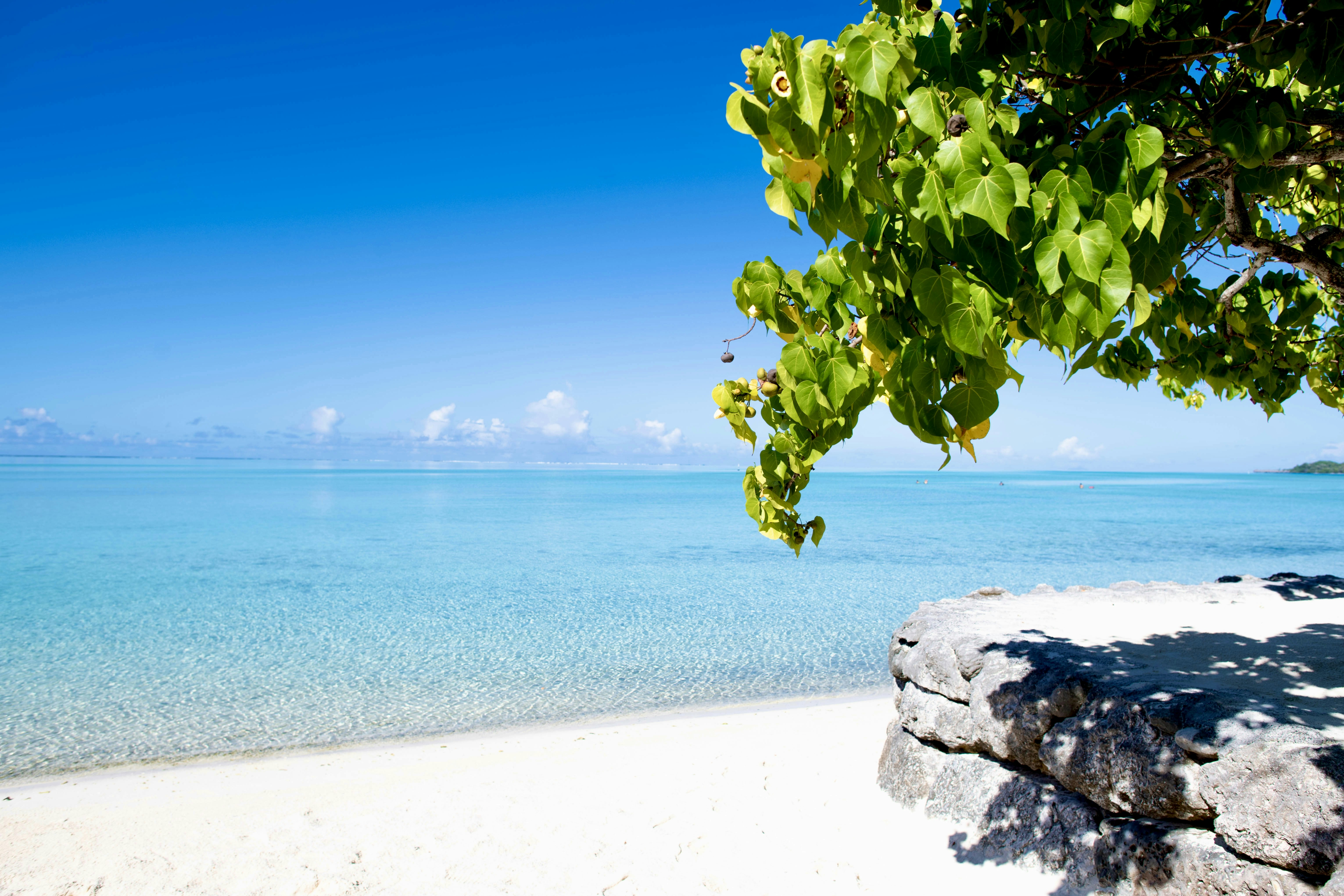 Photo by edonapowers