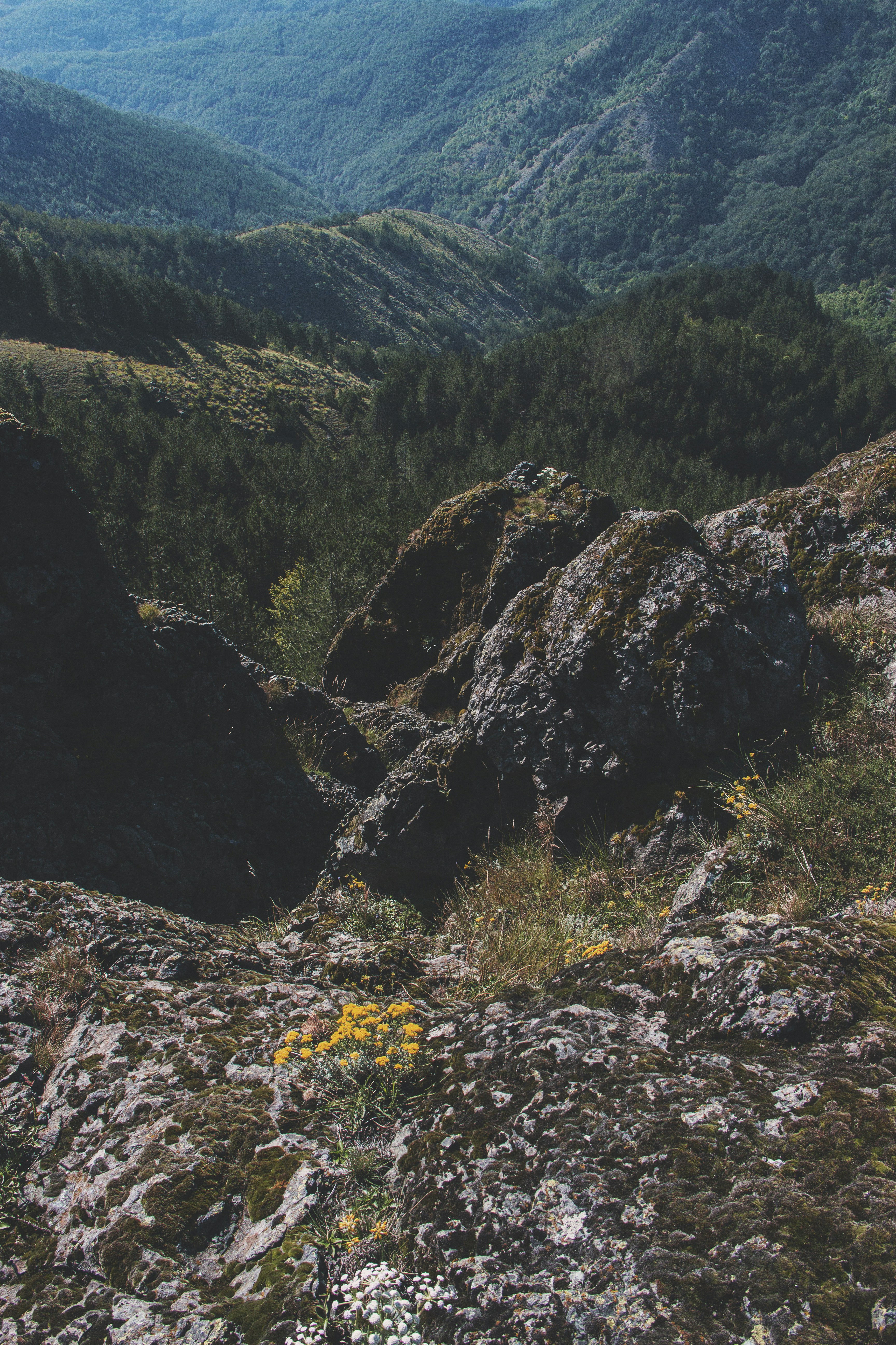 Photo by miloslopusina