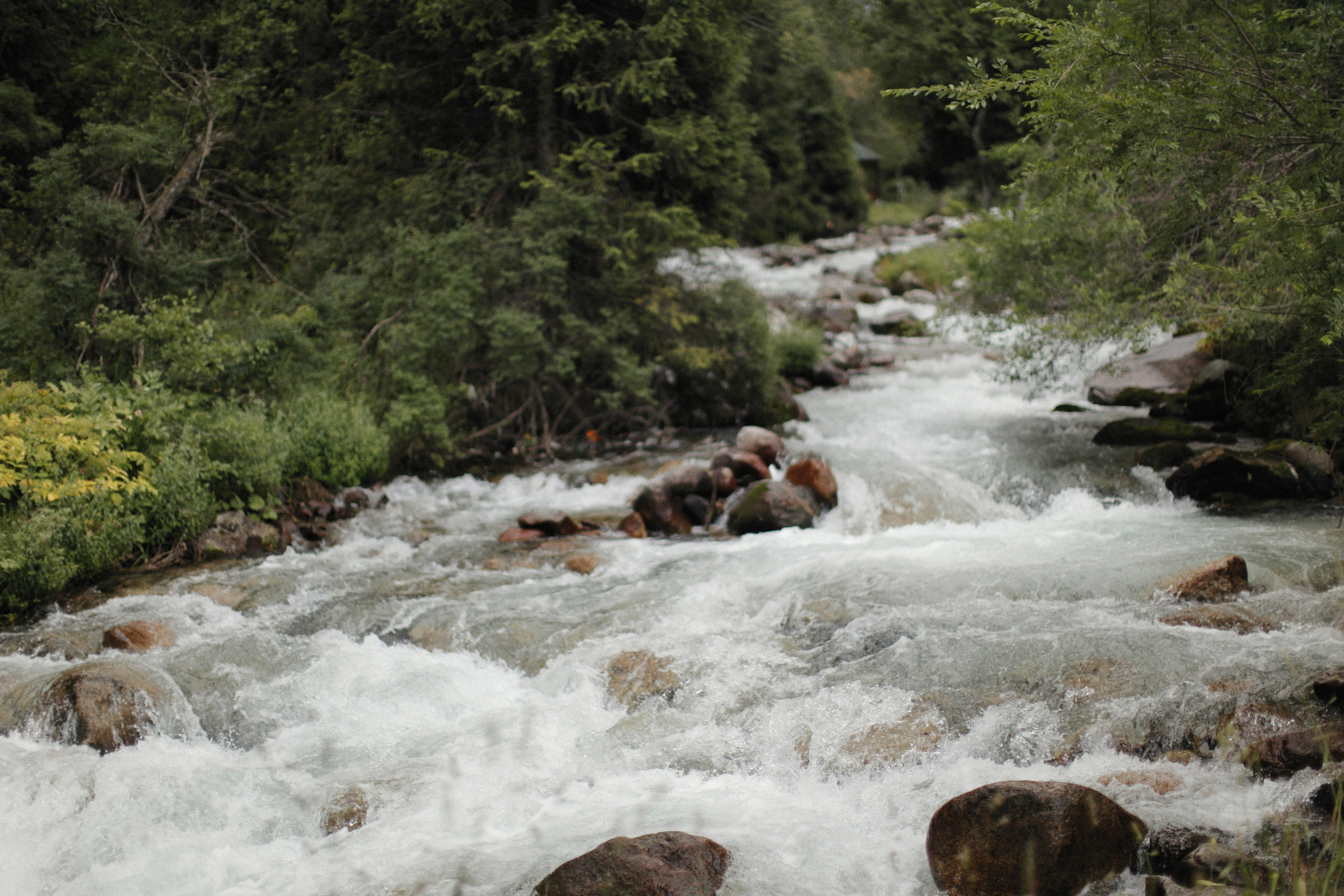 Photo by alexeydemidov