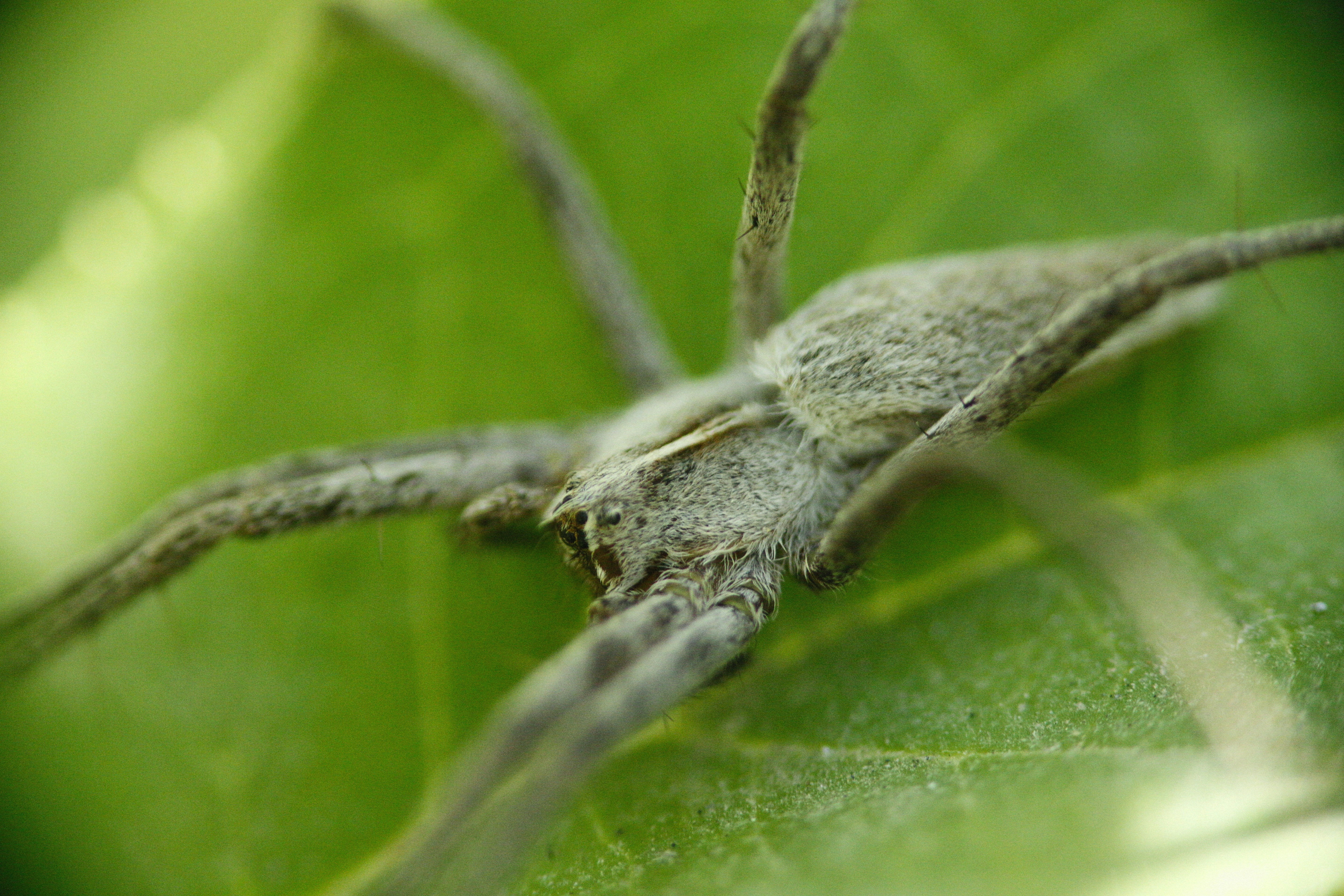 Photo by alexeydemidov