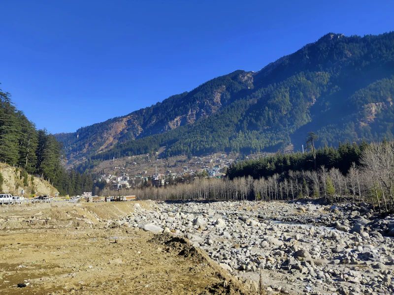 Best Pizza Places in Manali: Where to Go for a Proper Slice