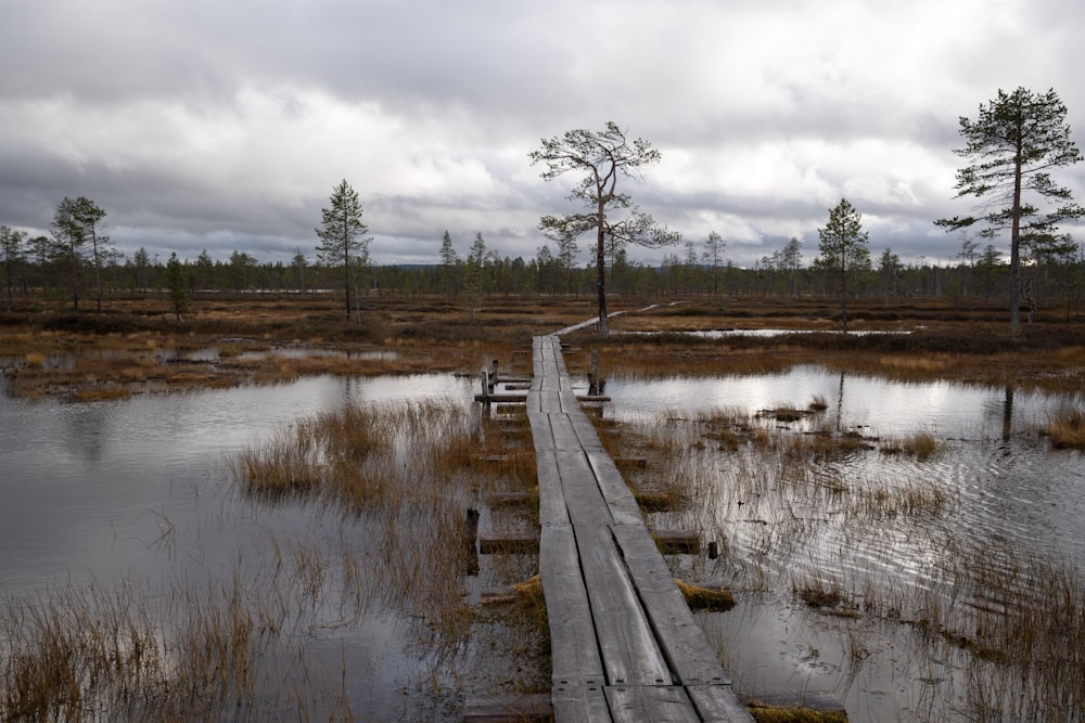 a wooden bridge over a body of water