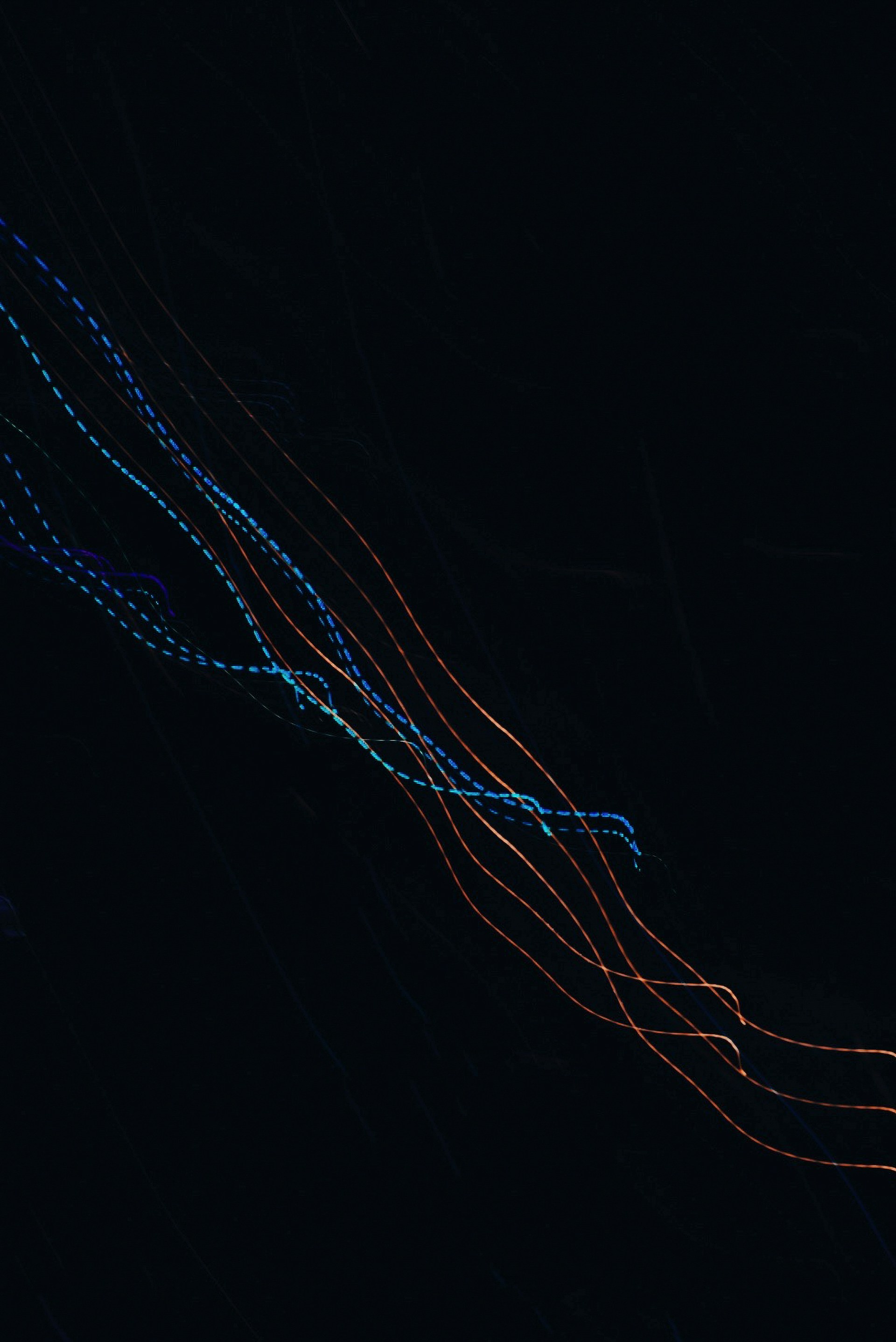 a kite is flying in the air at night