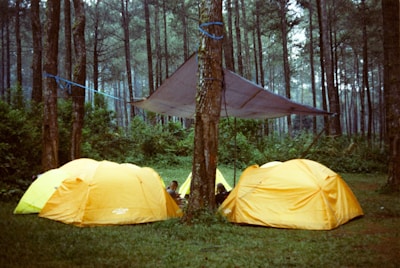 a couple of tents sitting in the middle of a forest