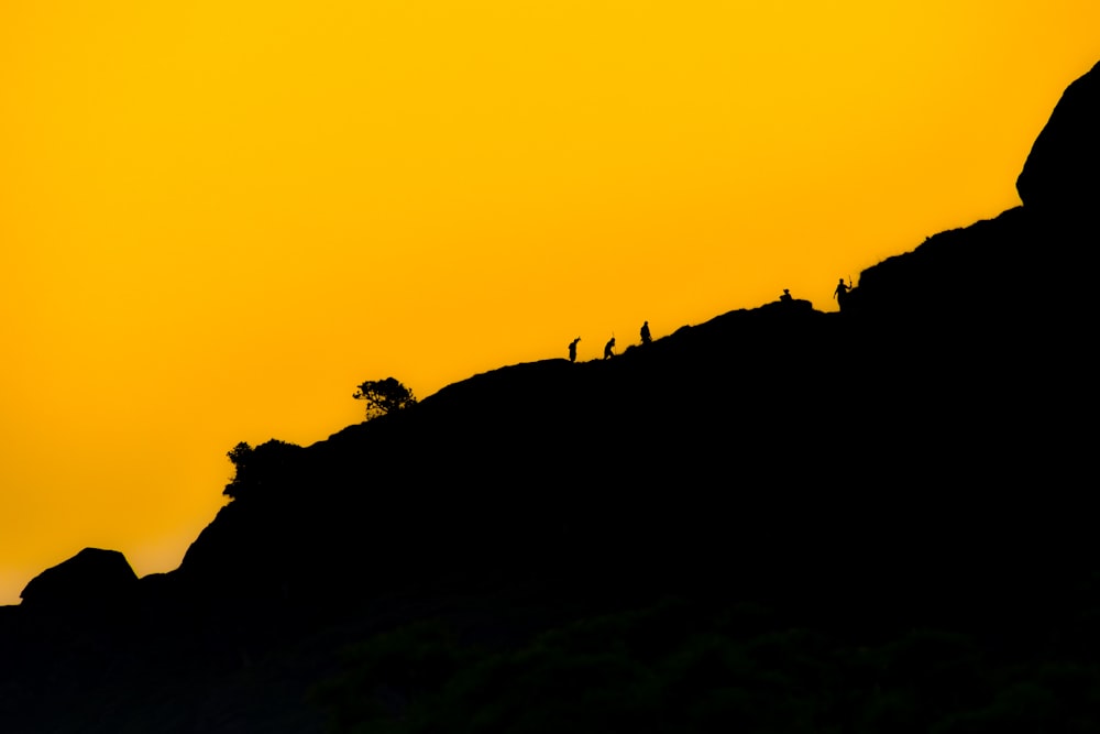 a tree in front of a sunset