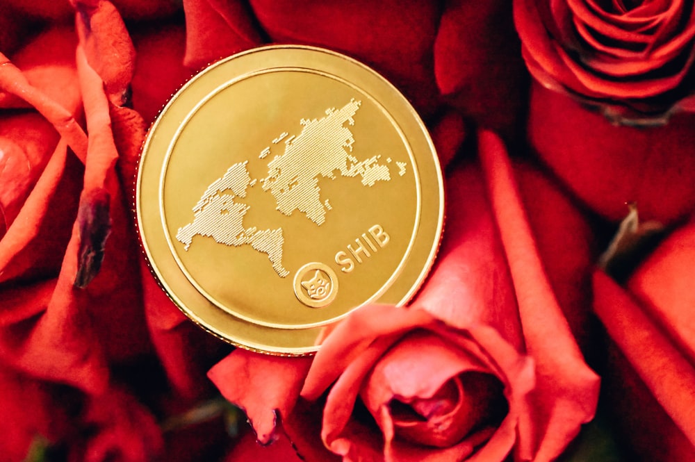 a gold coin sitting on top of red roses