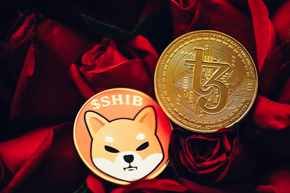 a red rose with a gold coin next to it