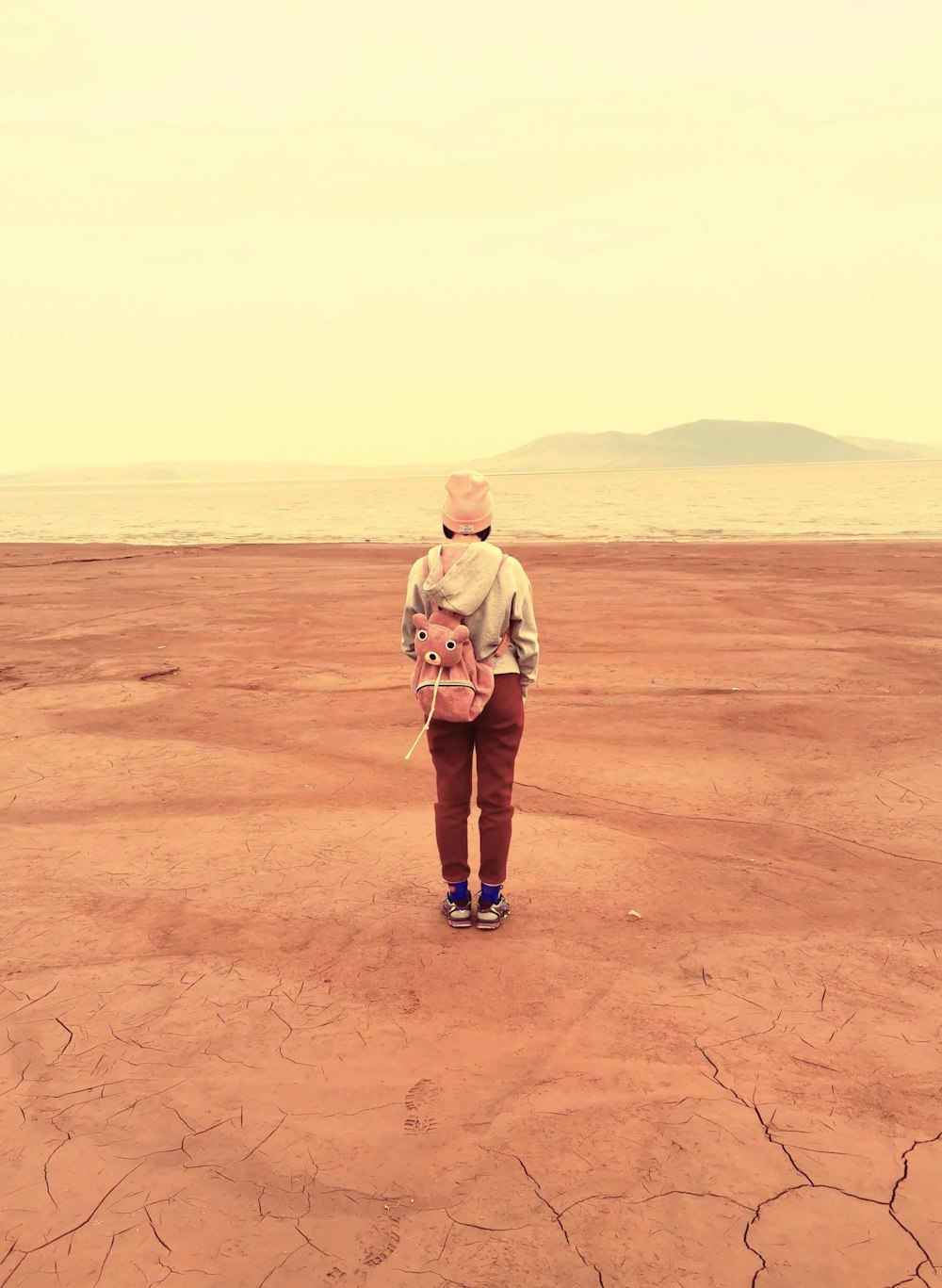 a person standing in the middle of a desert