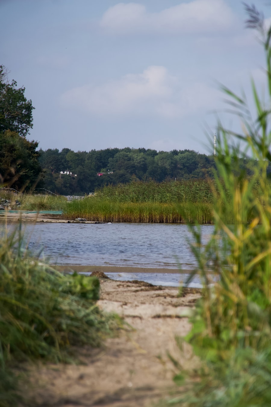 Coastal path along Shippan Point waterfront