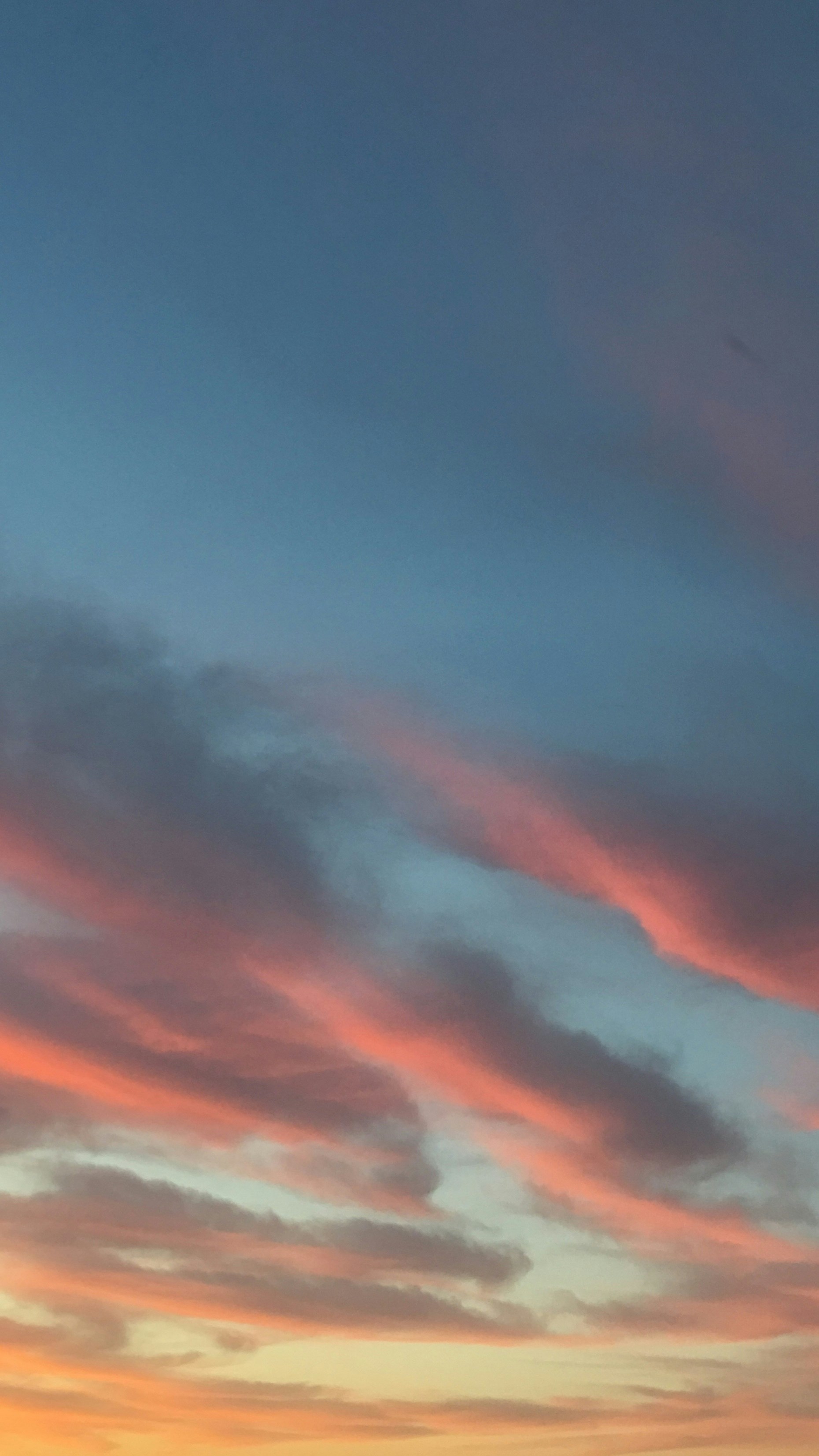 Photo by filipp_roman_photography