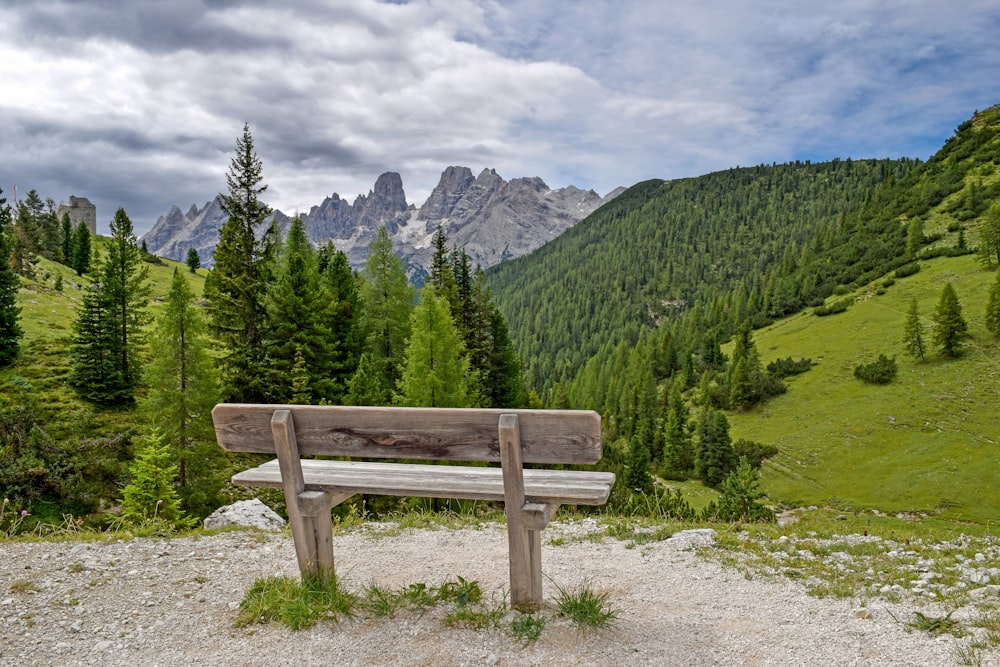 a wooden bench sitting on top of a lush green hillside