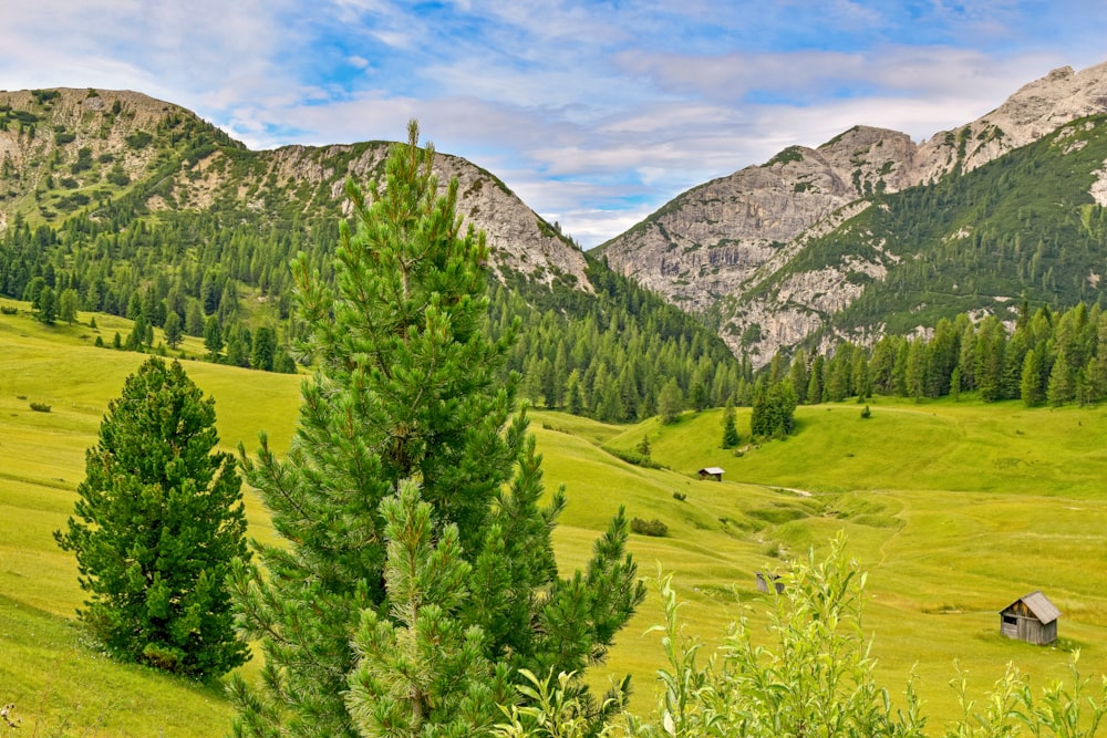 a field with a house and mountains in the background