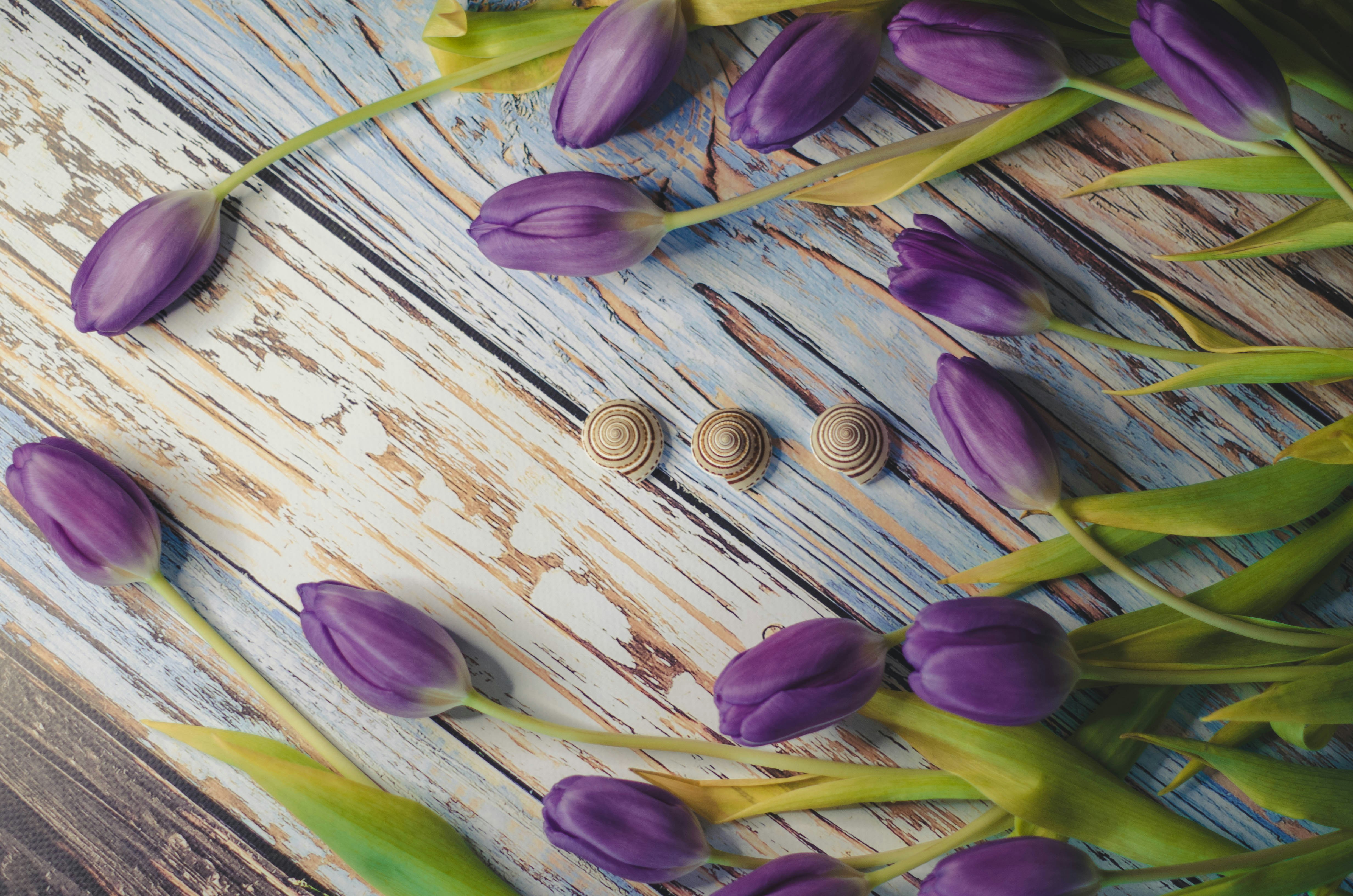 spring floral wallpaper, wallpaper, Spring Crafts for Adults: Creative Ideas & Projects 1