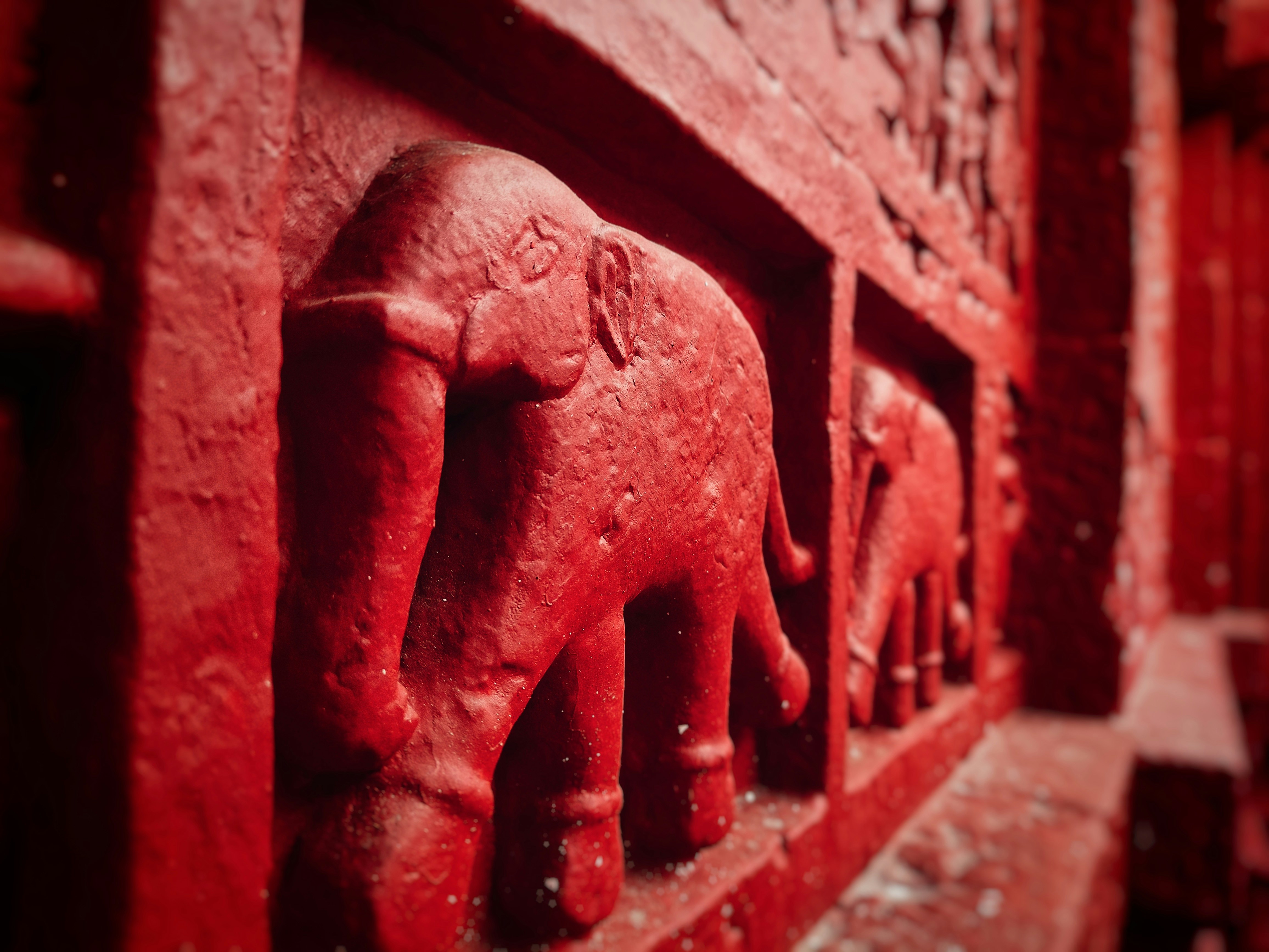 Photo by abhinav_sharma