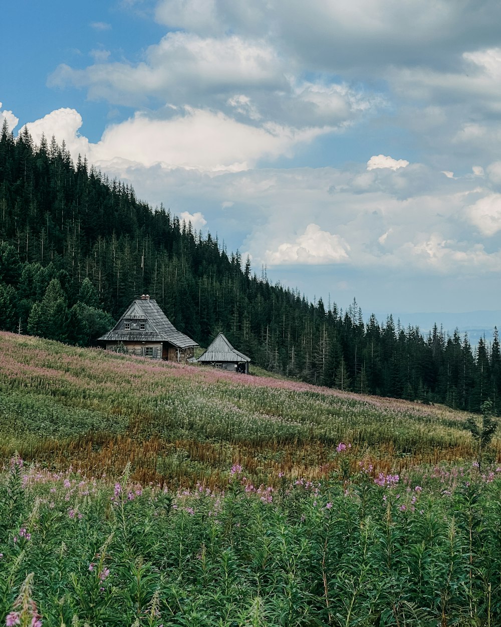 a grassy field with a house in the middle of it