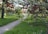 A serene garden with blooming flowers and a tranquil pathway.