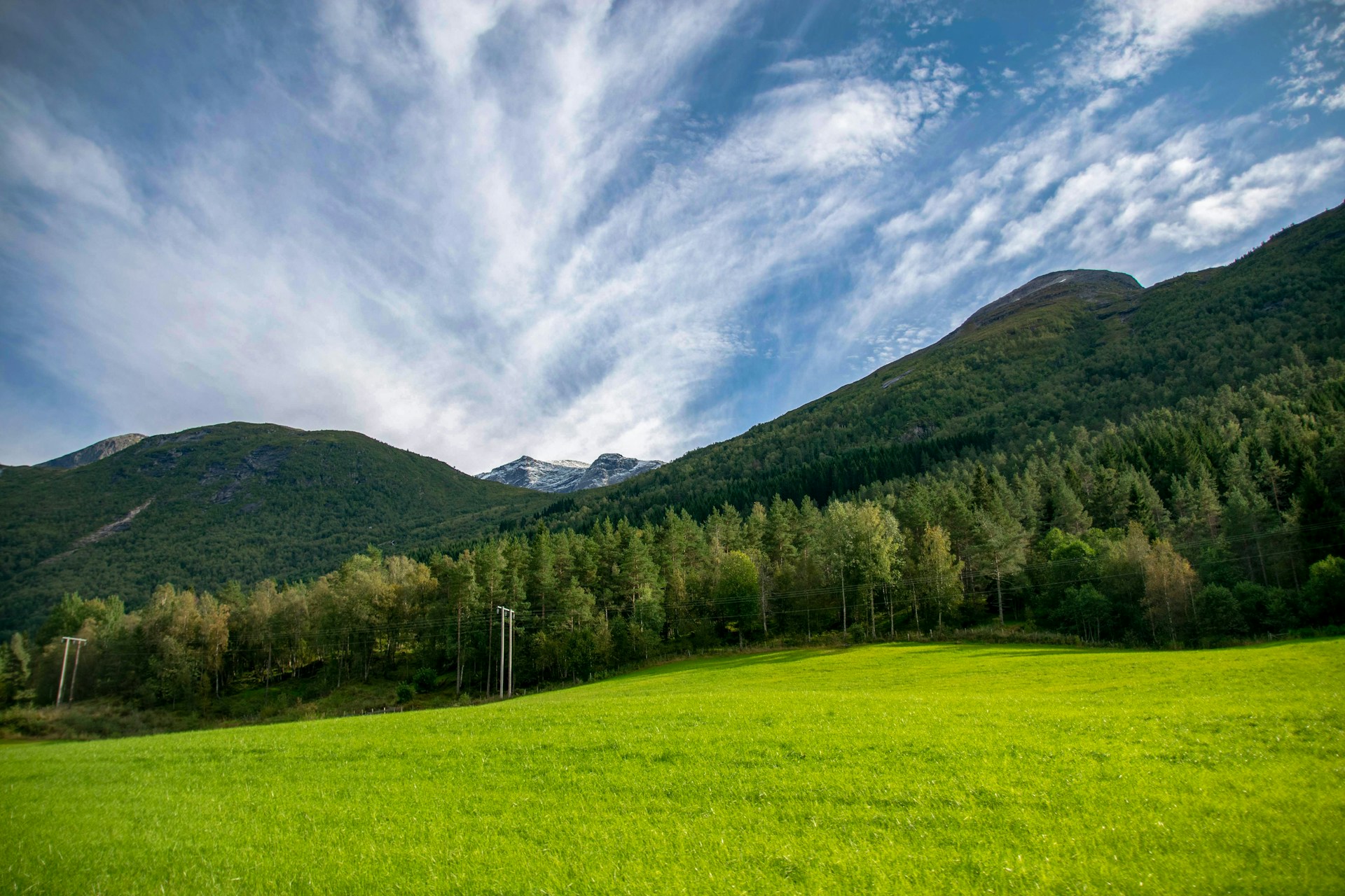 a green field with mountains in the background