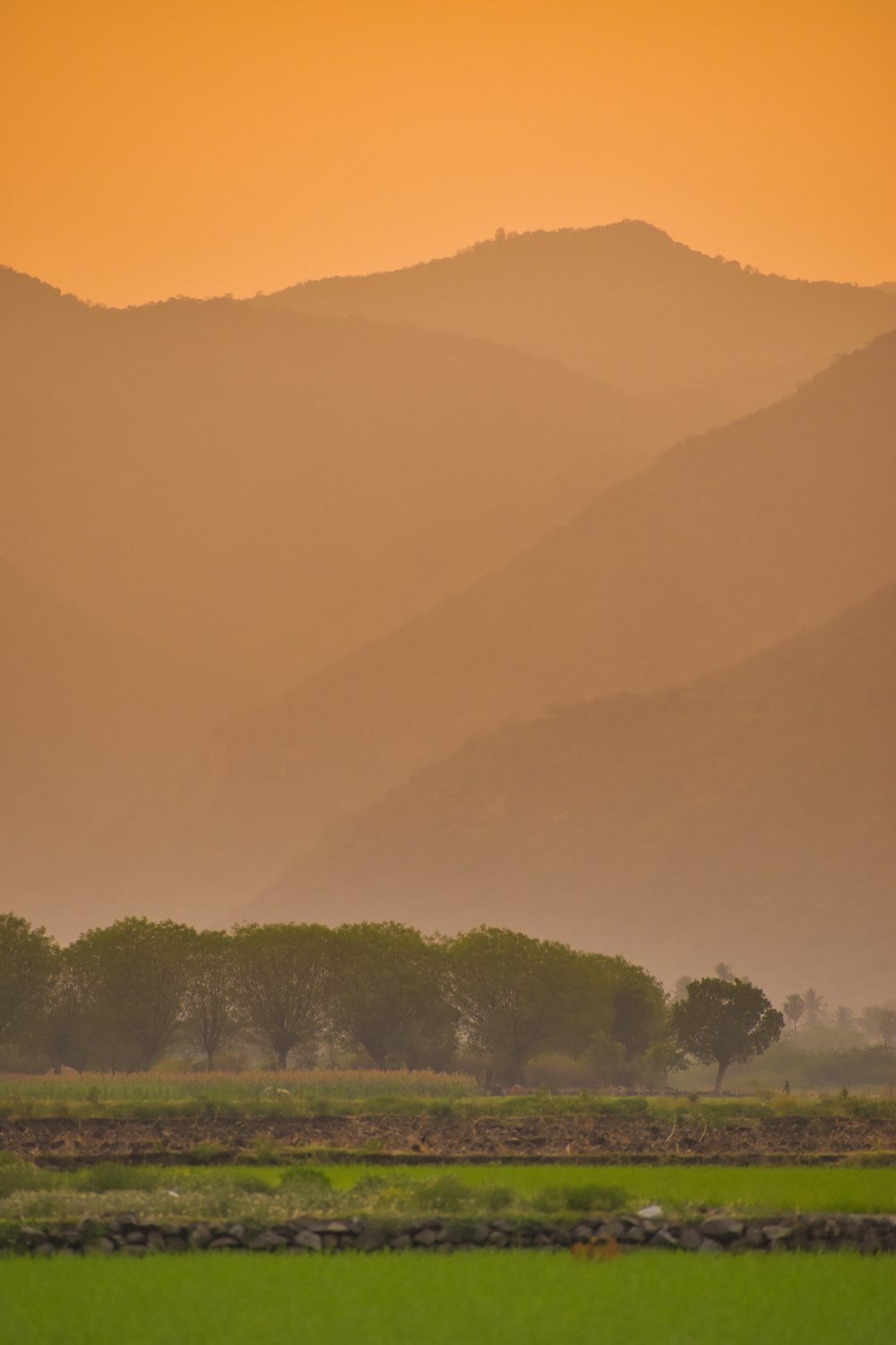 a large green field with a mountain in the background