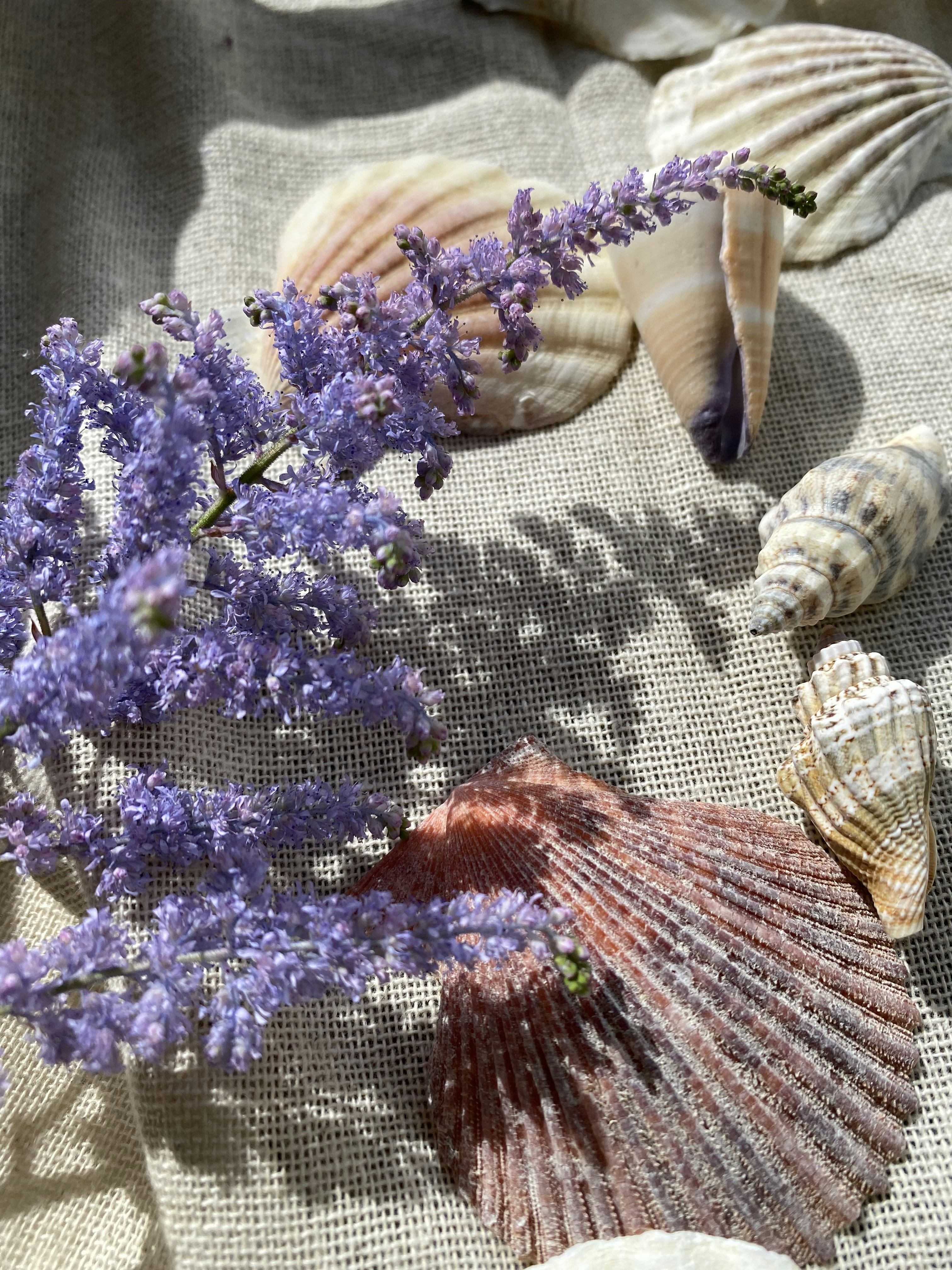 Identifying the Right Sunseashell Fabric for Your Needs