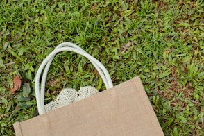 a brown bag sitting on top of a lush green field