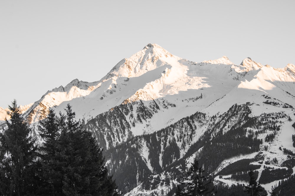 a snow covered mountain with trees in the foreground